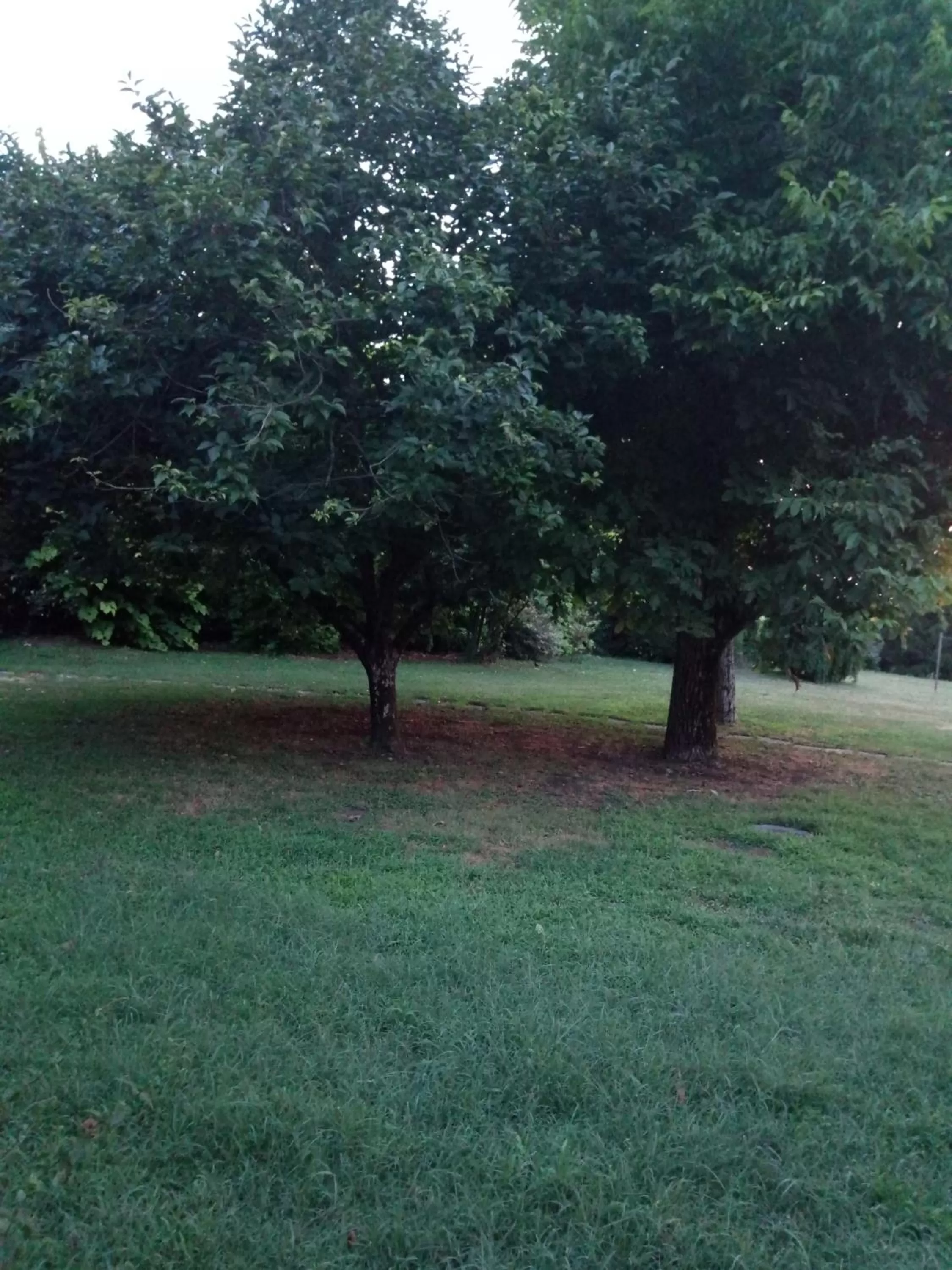 Natural landscape in Corte Posta B&B