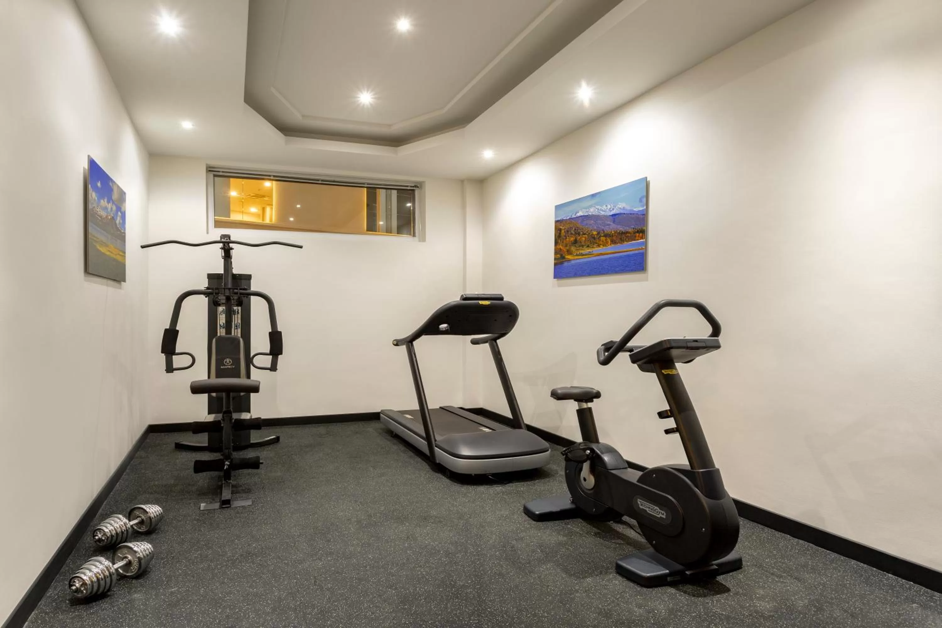 Fitness centre/facilities in Citadines City Centre Tbilisi