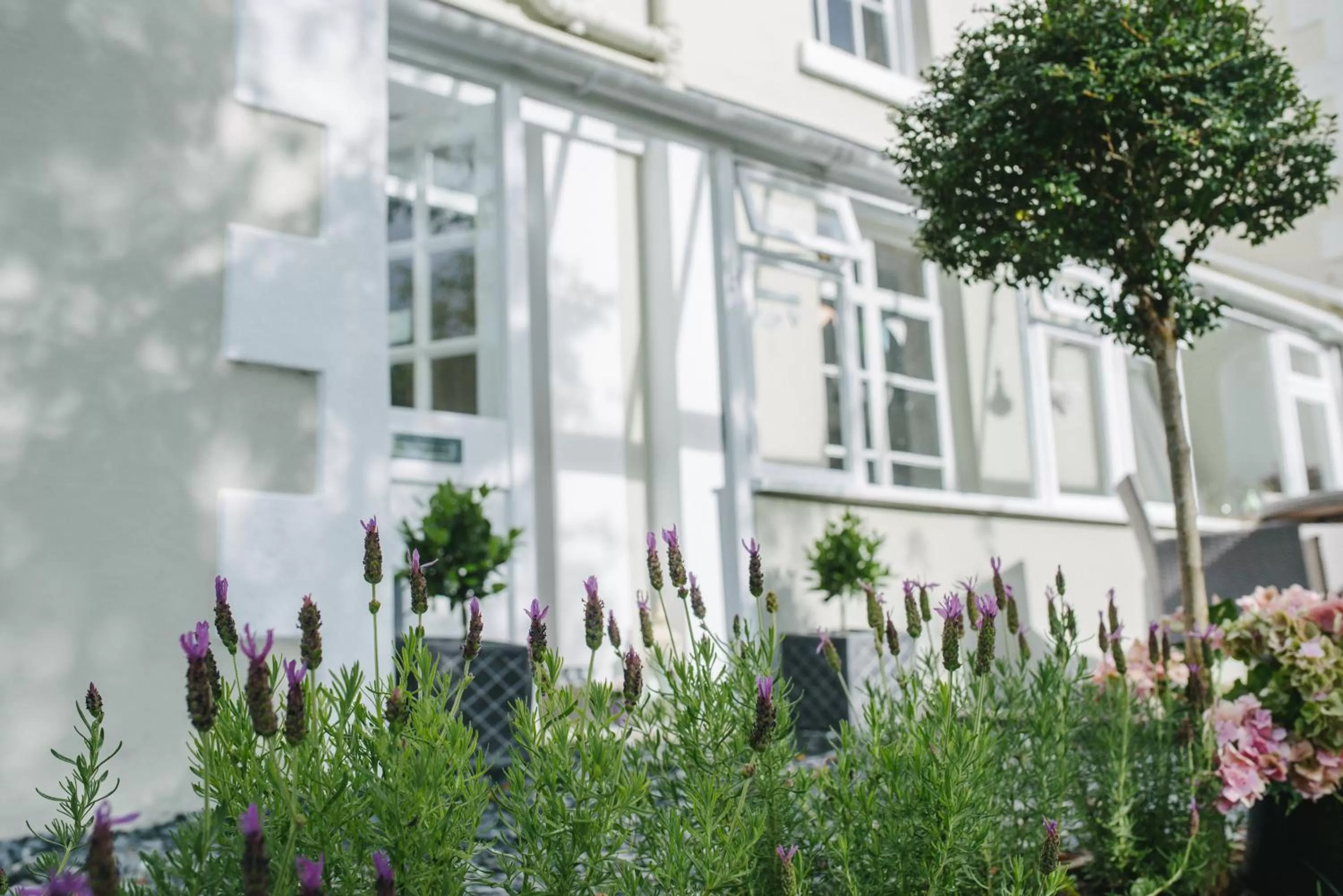 Property building in Apple Tree Bed and Breakfast