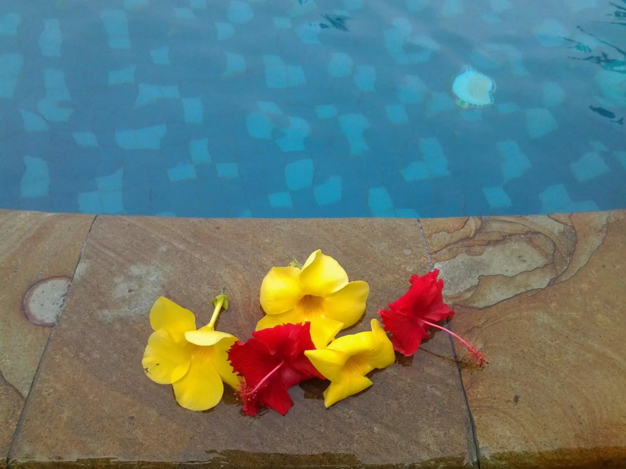 Nirwana Sea Side Cottages