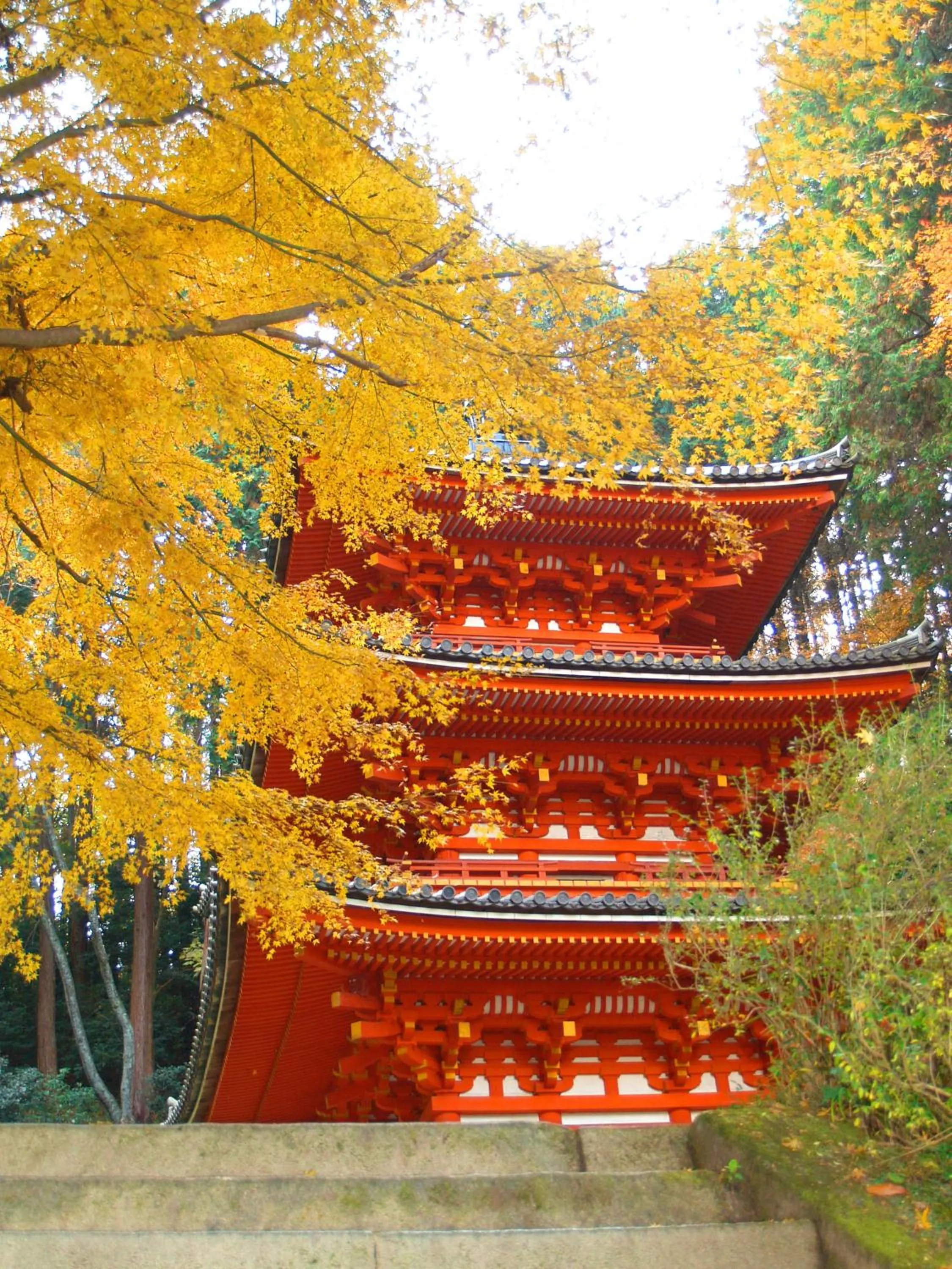 Area and facilities in Guesthouse Nara Komachi