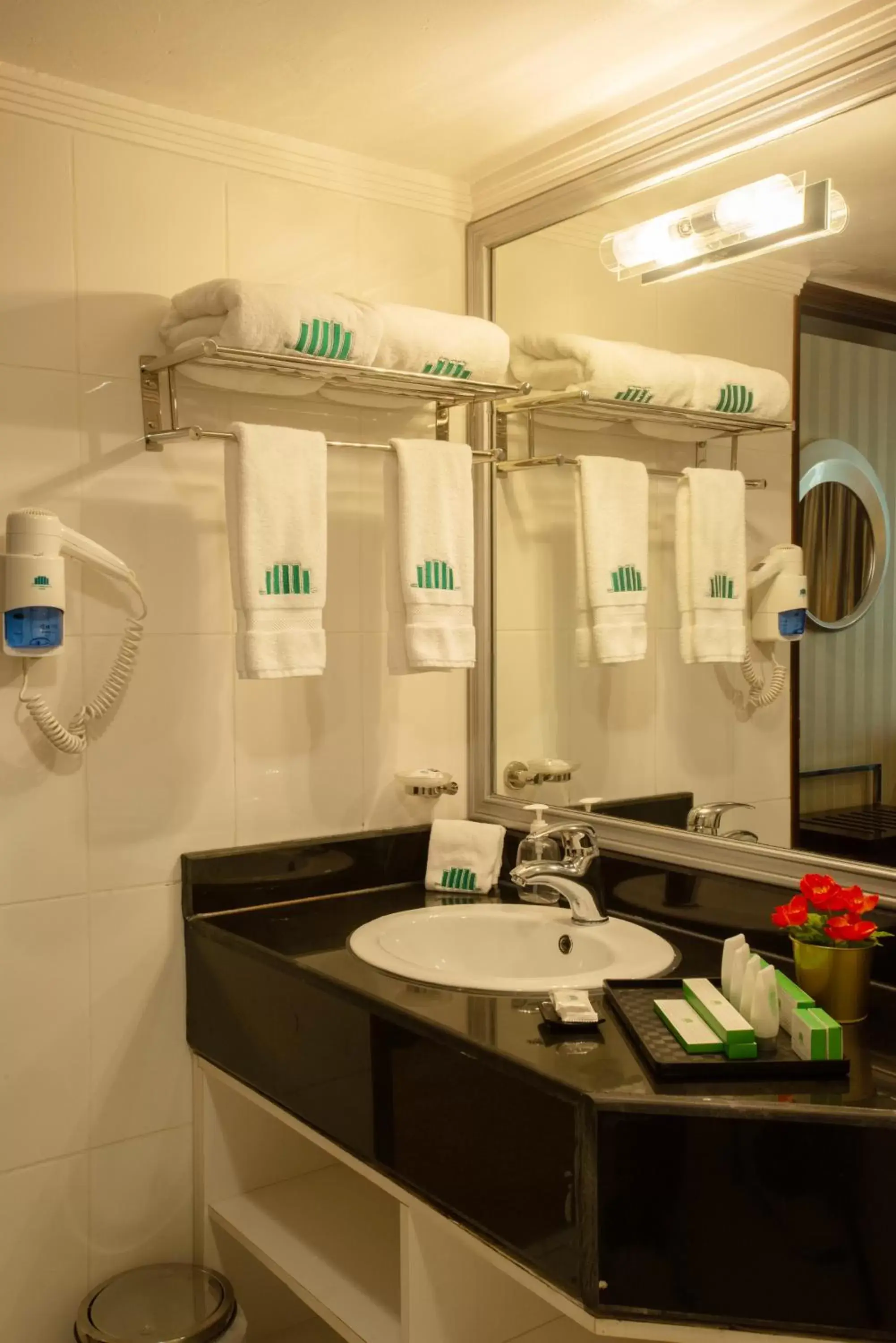 Twin Room with City View in City Tower Hotel Twin Room with City View in City Tower Hotel