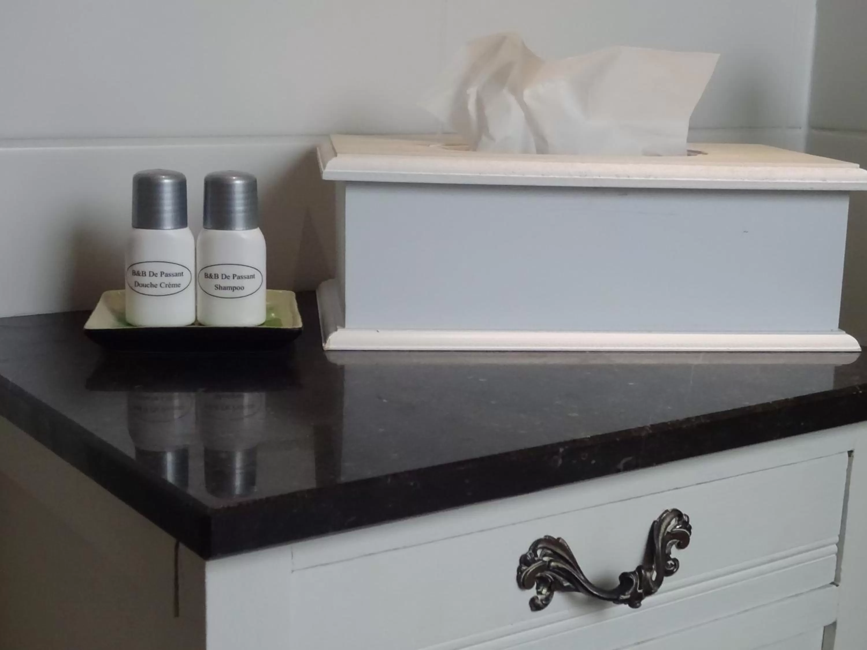 Decorative detail, Bathroom in B&B De Passant