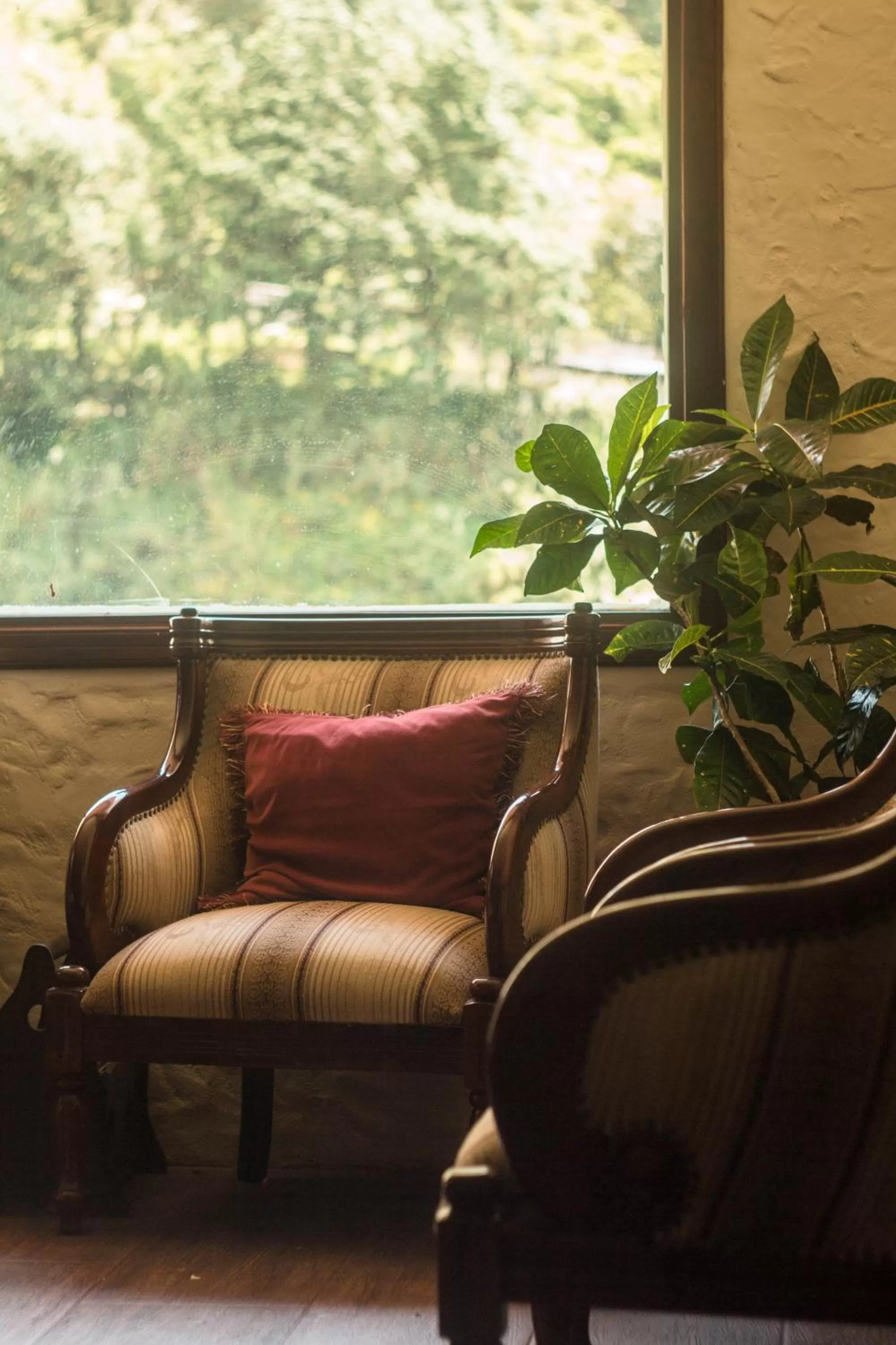 Living room, Seating Area in Aldea Real Eco Friendly