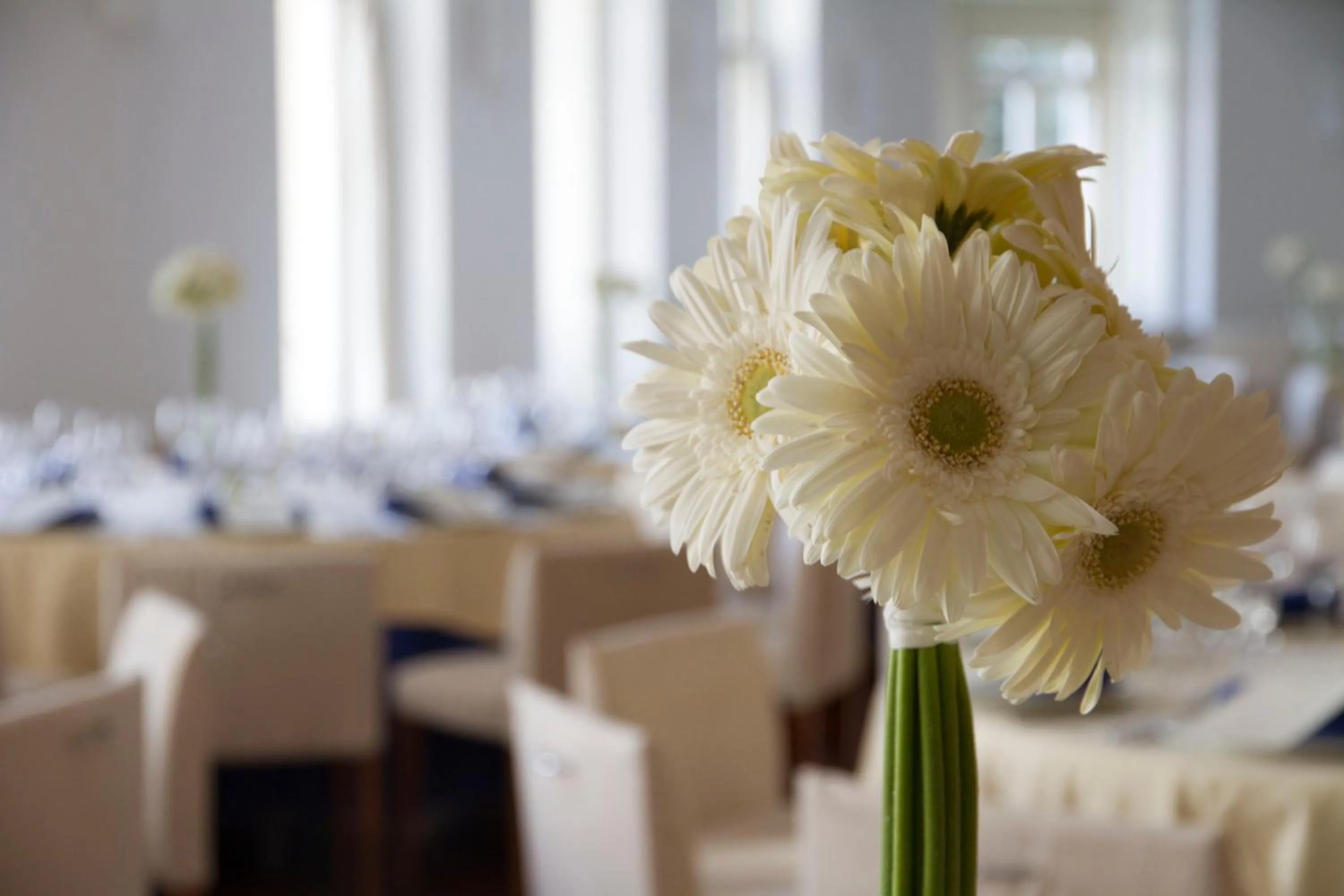 Restaurant/places to eat in Gran Hotel Albacete