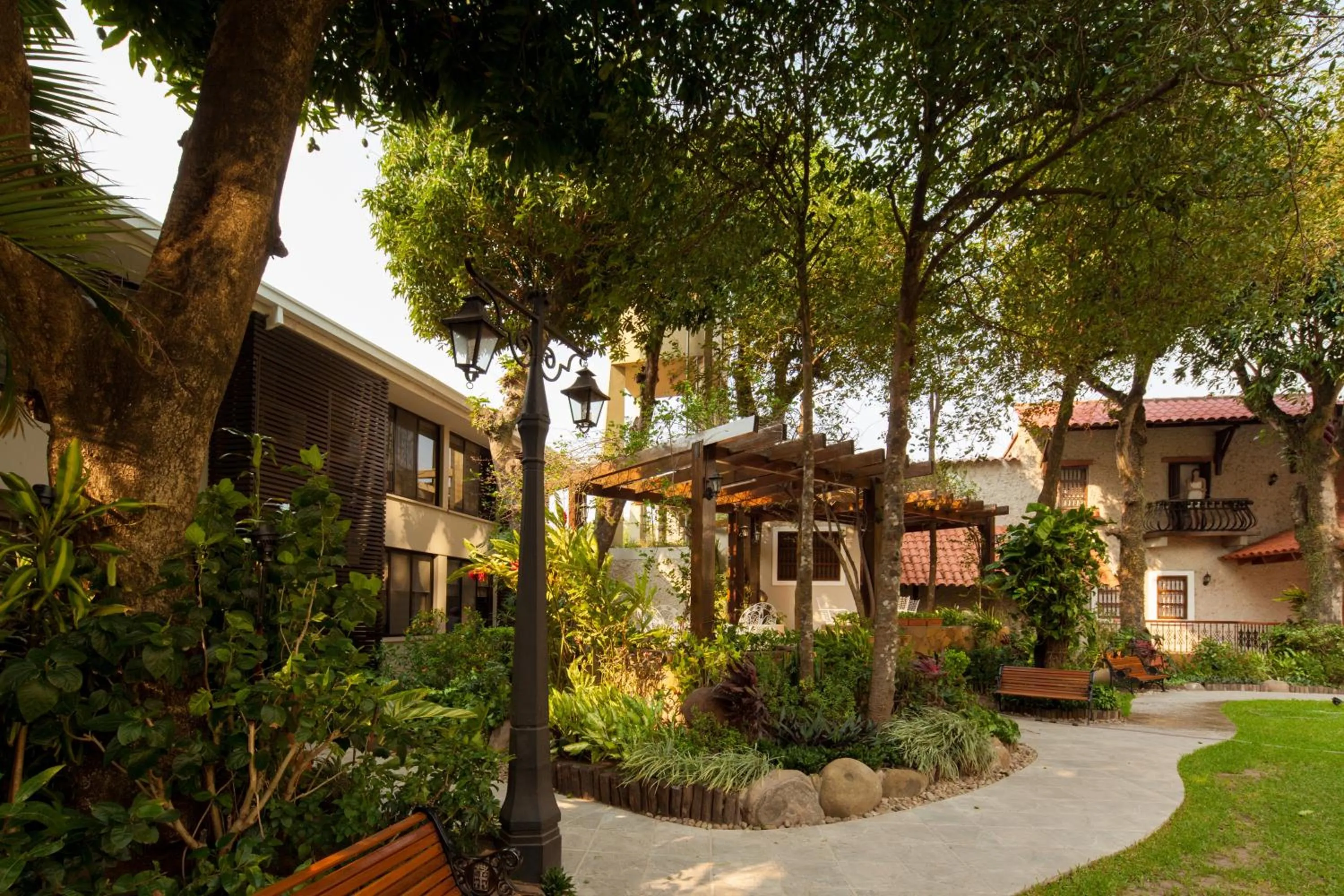 Garden in Hotel Cortez