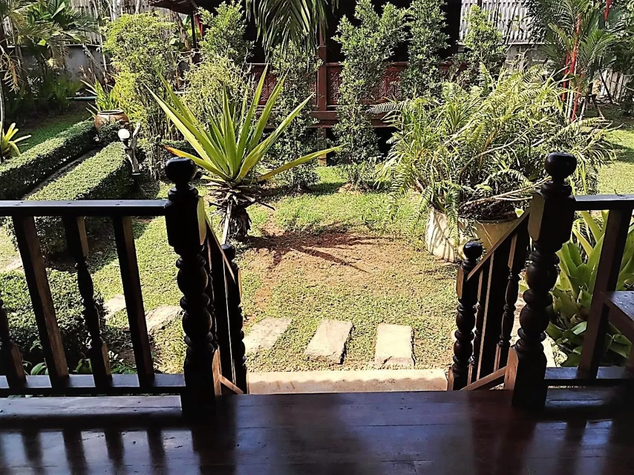 Garden view in Cozy Garden Resort