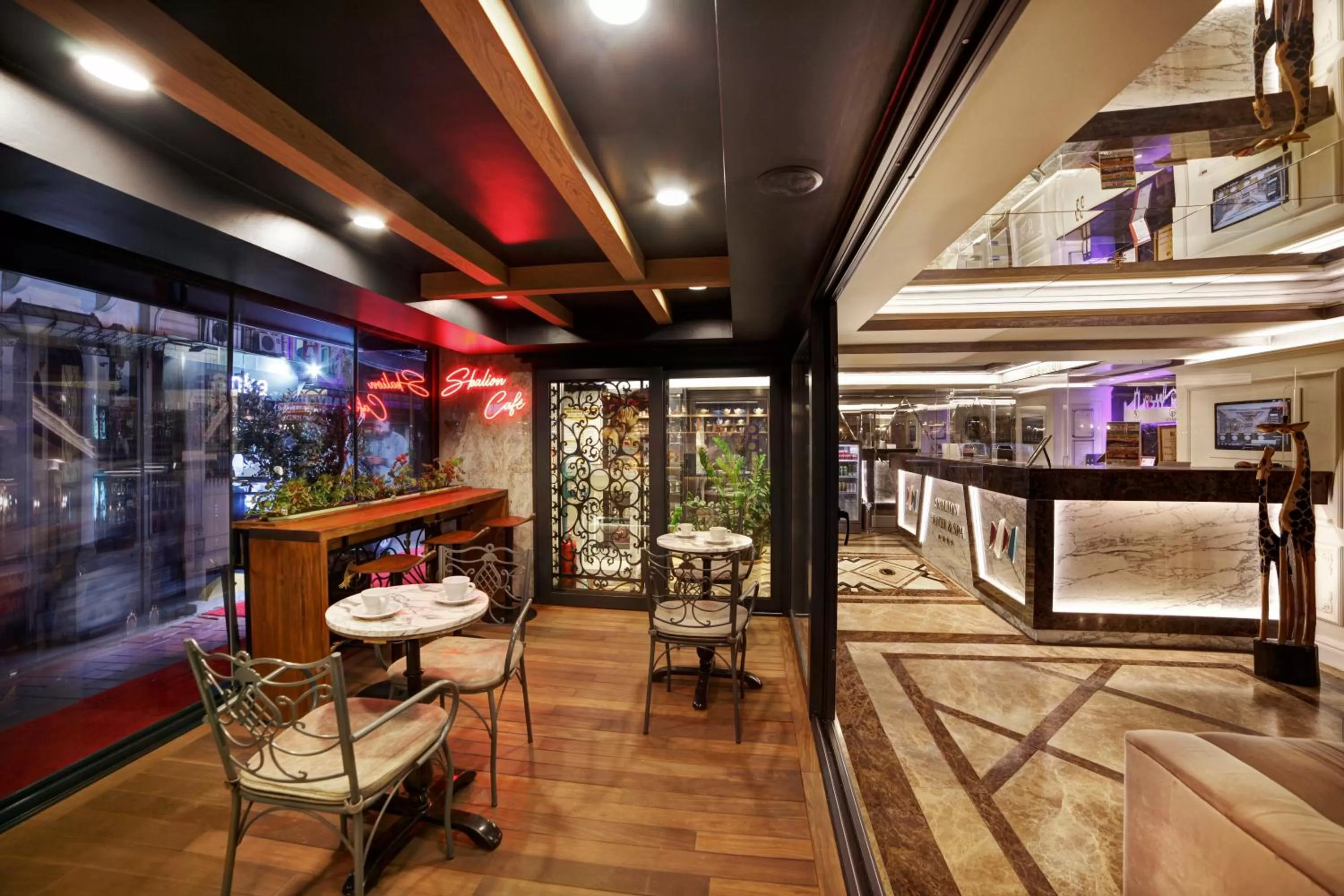 Coffee/tea facilities in Skalion Hotel