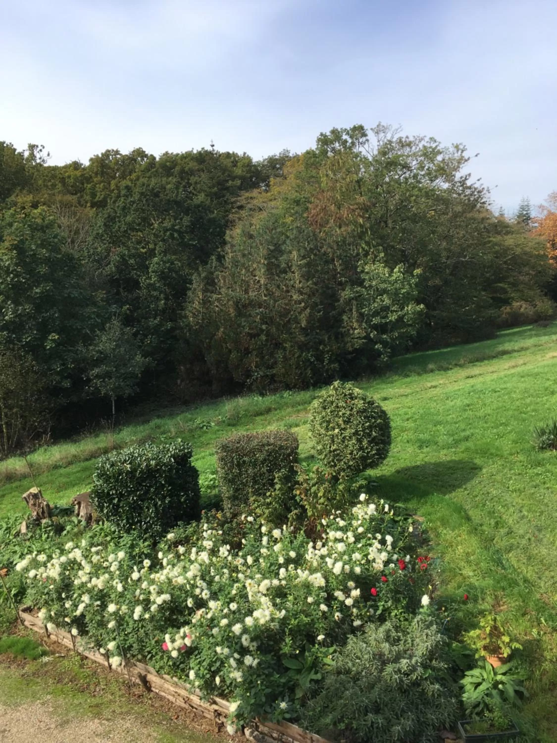 Garden view in Château de La Ville-Huë