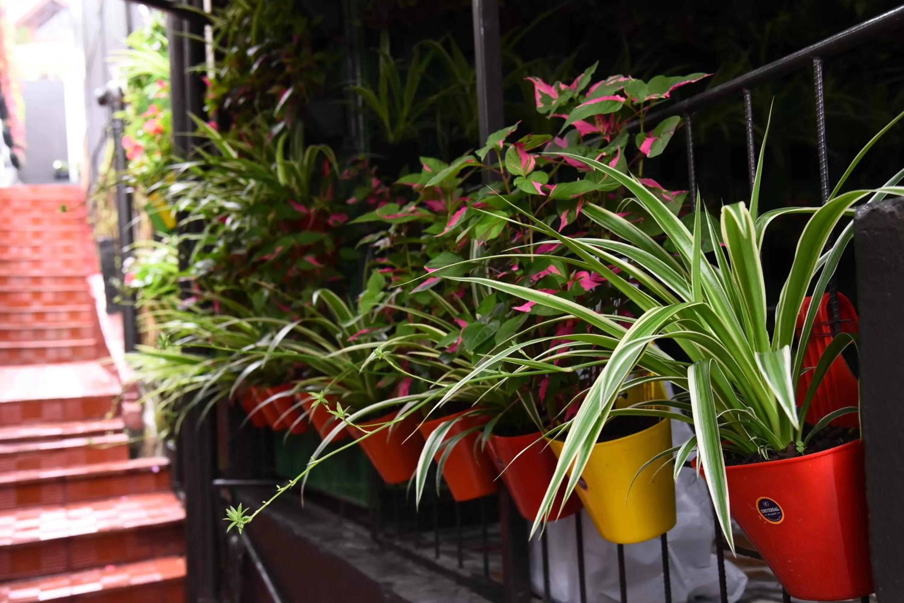 Property building in PHIBHA VILLA