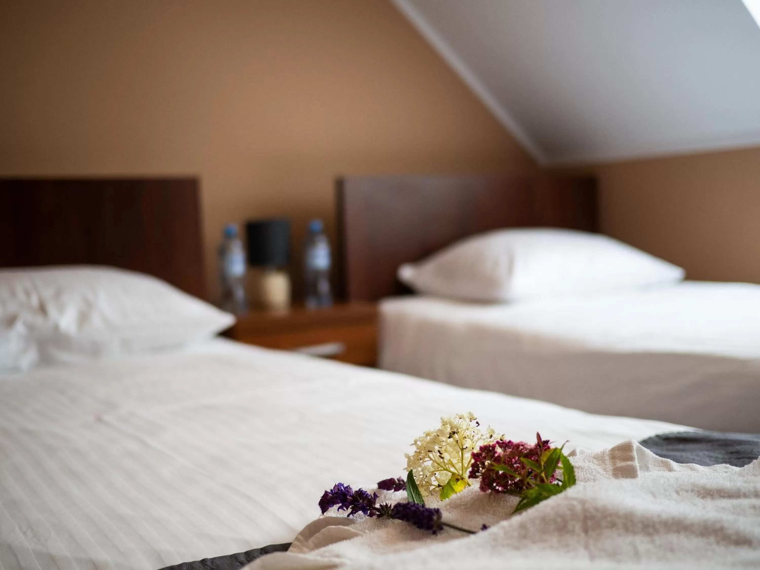 Bedroom, Bed in Folwark Żuławski