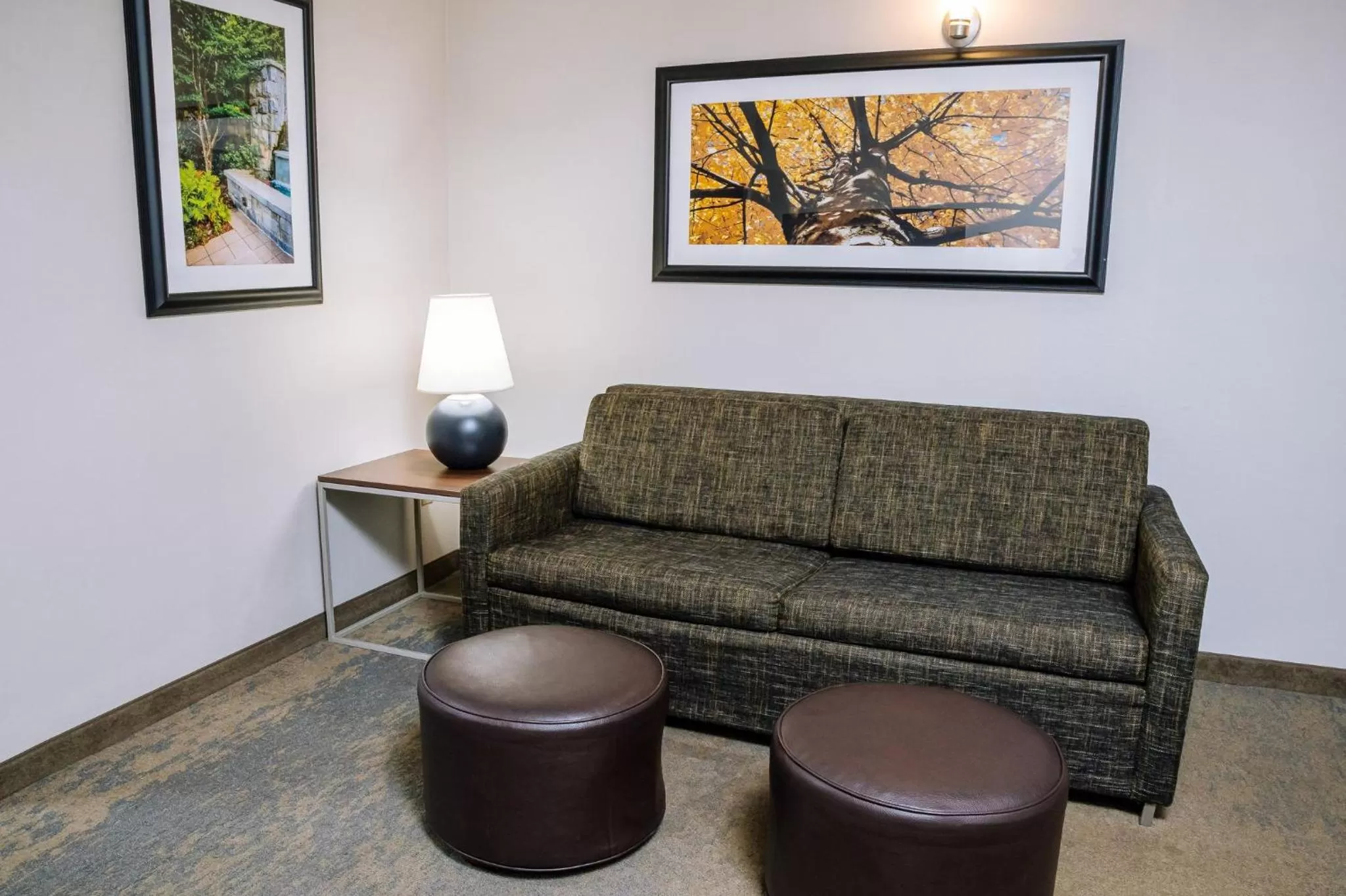 Photo of the whole room in Holiday Inn Hotel & Suites Stockbridge-Atlanta I-75 by IHG