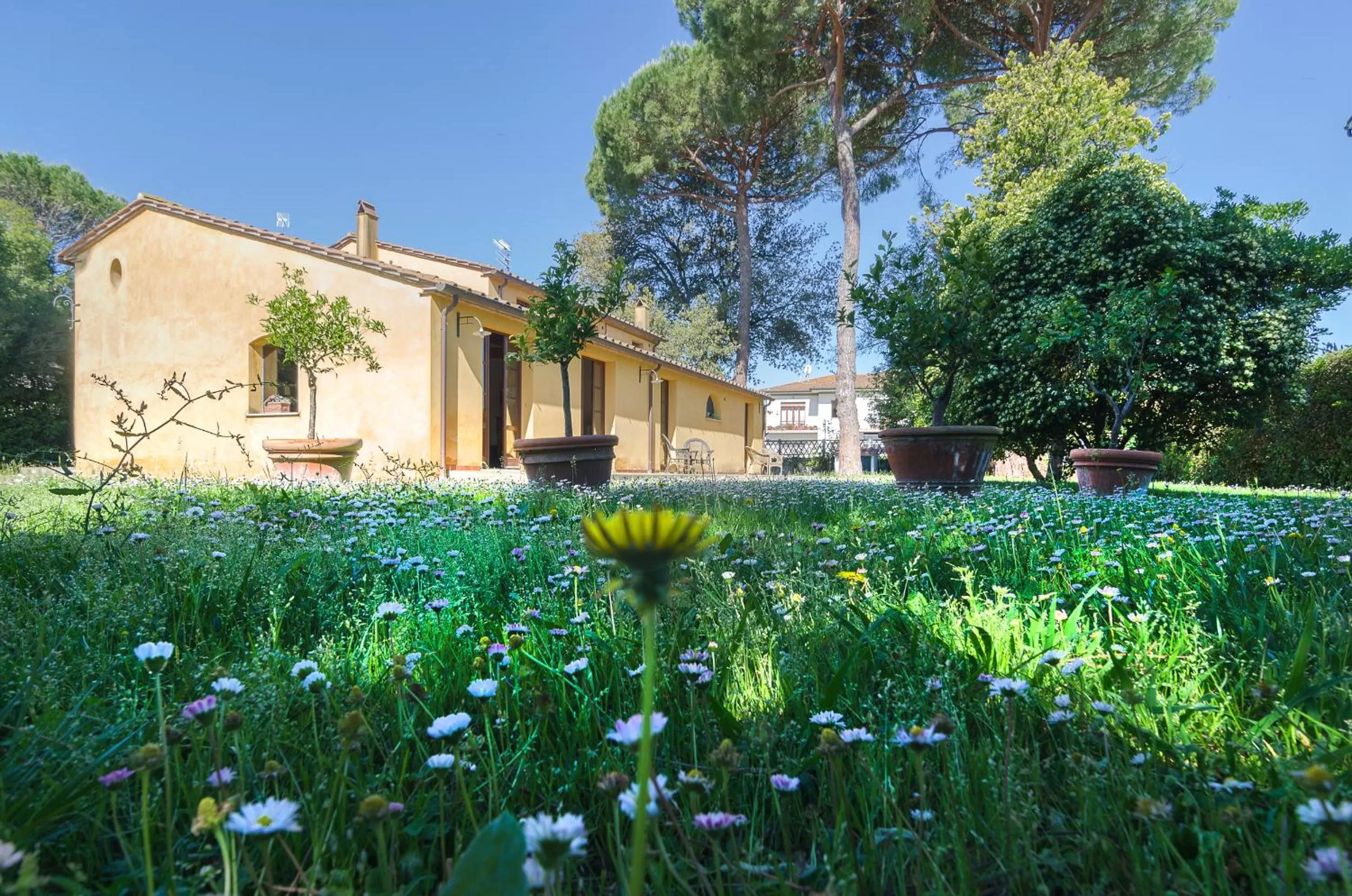 View (from property/room) in Pisa Holidays
