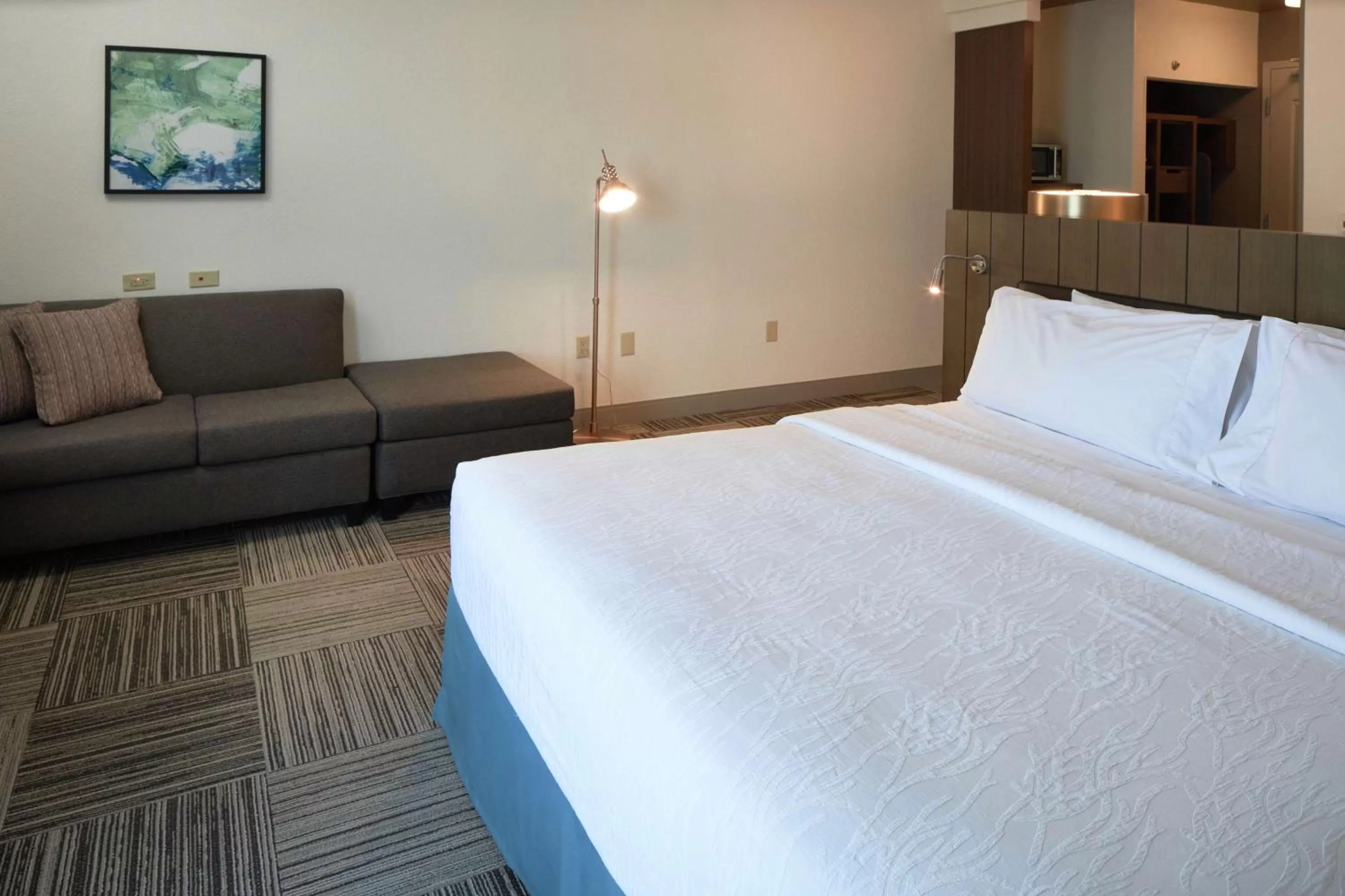 Living room, Bed in Hilton Garden Inn Evansville