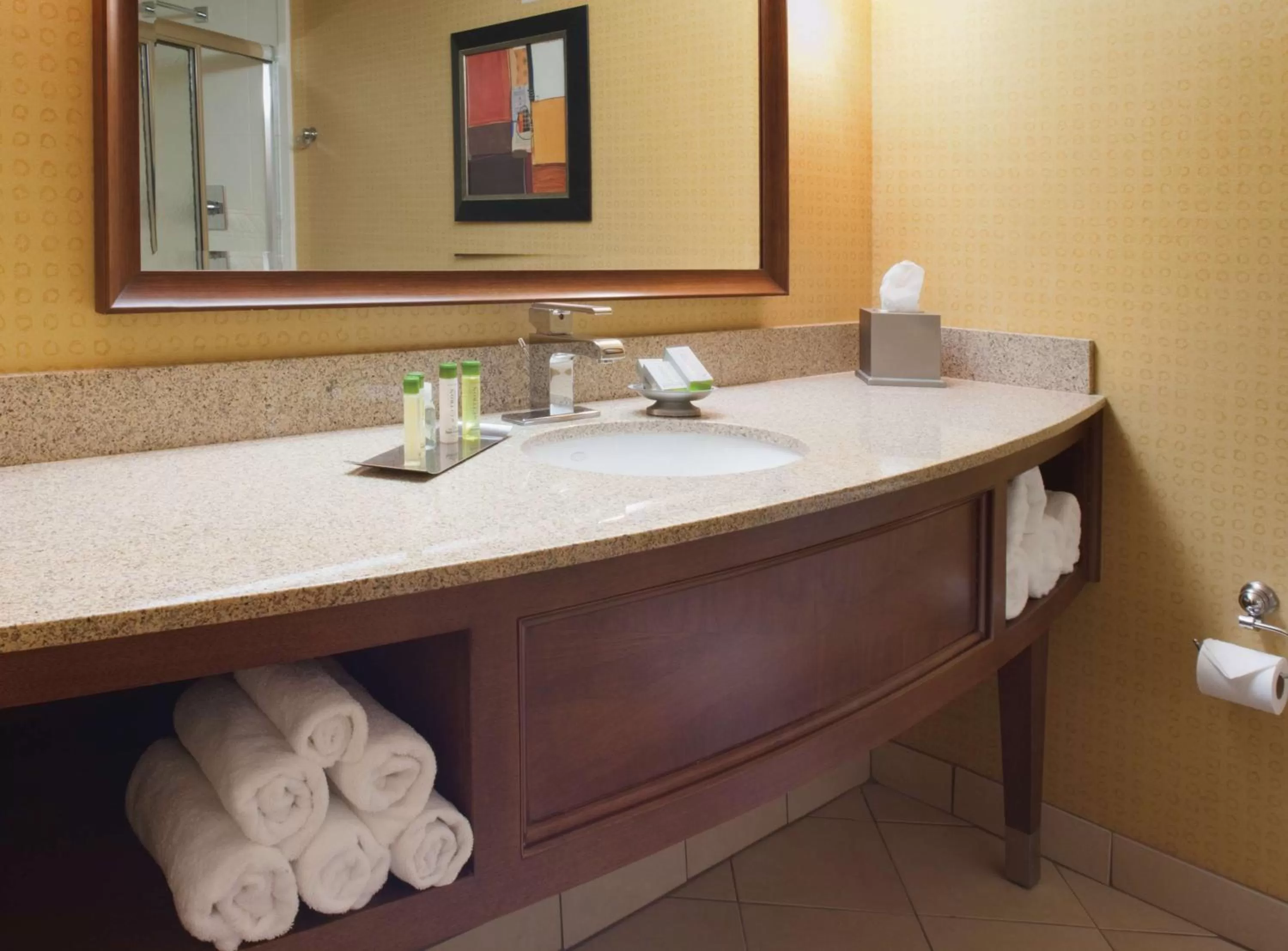 Bathroom in DoubleTree by Hilton Johnson City