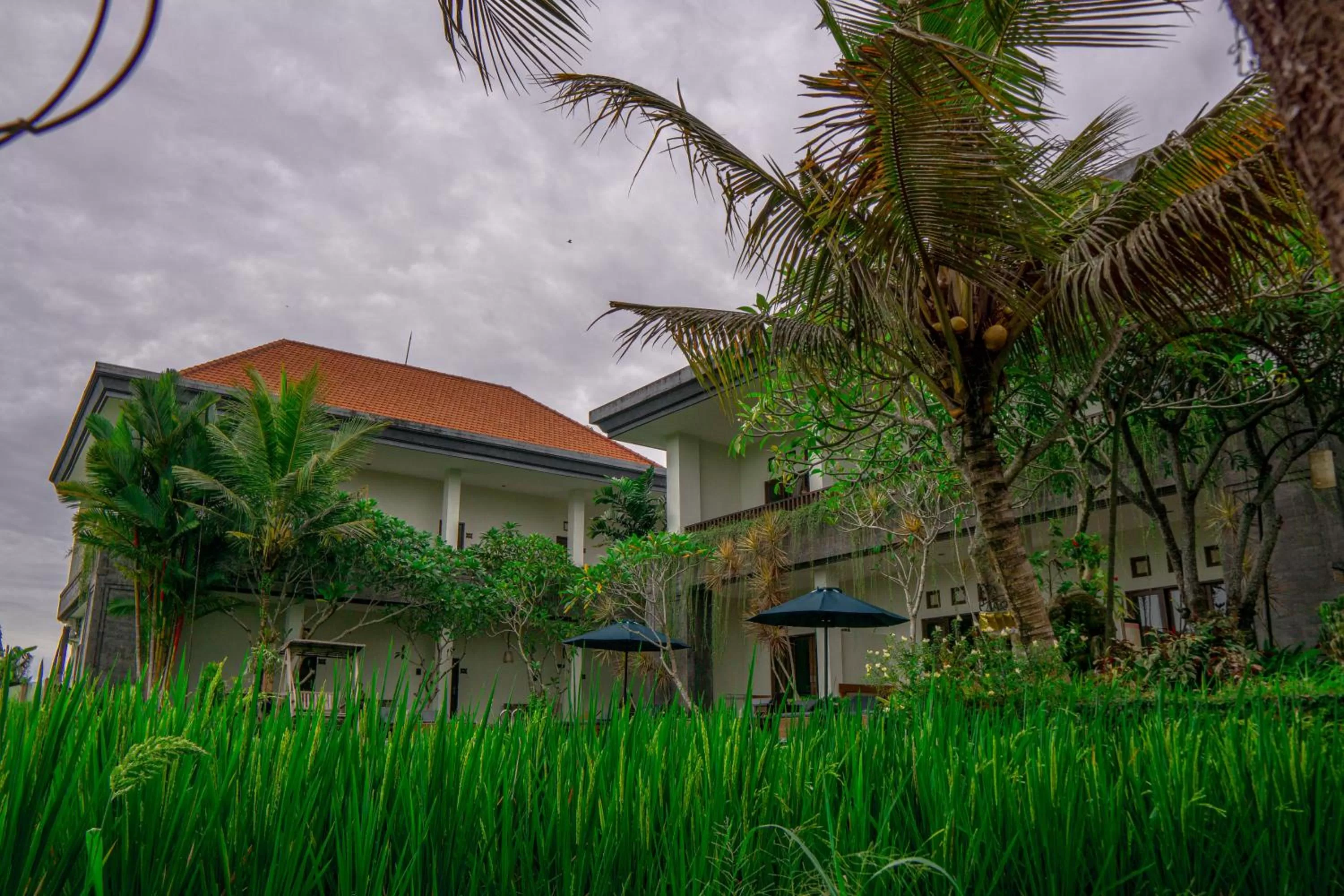 Property building in Artini Bisma Ubud Hotel