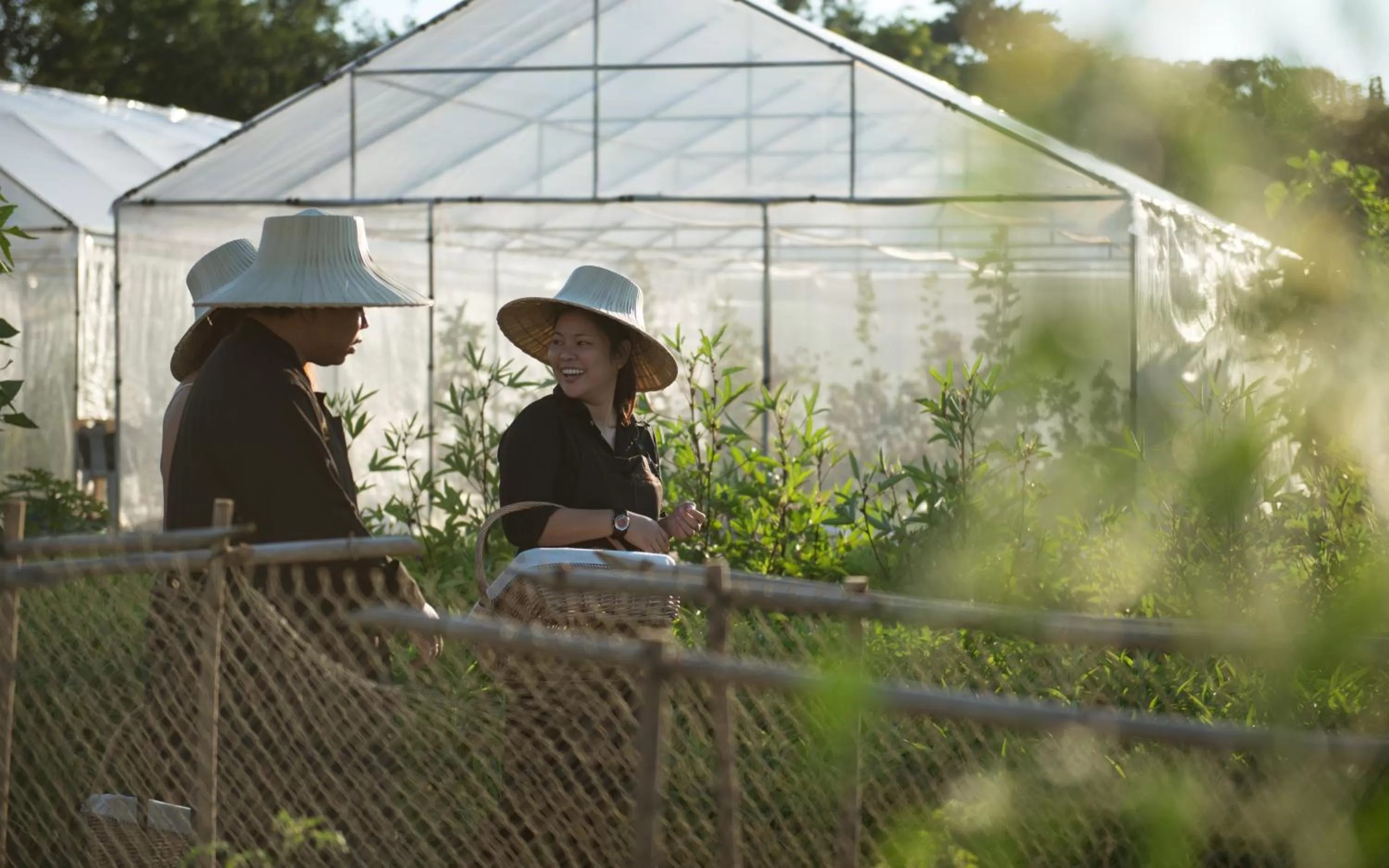 Activities in North Hill City Resort