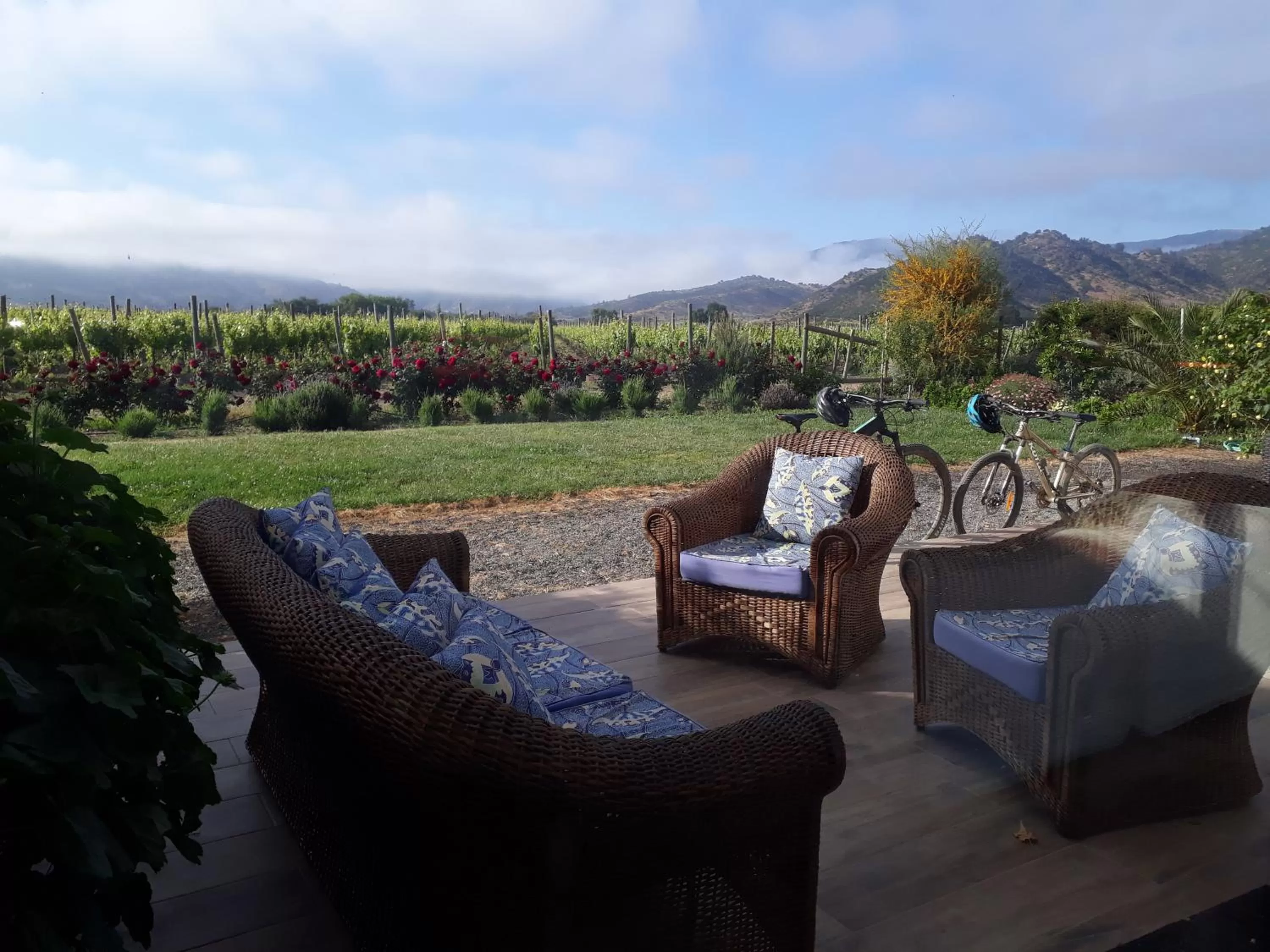 Garden in Callihue Lodge