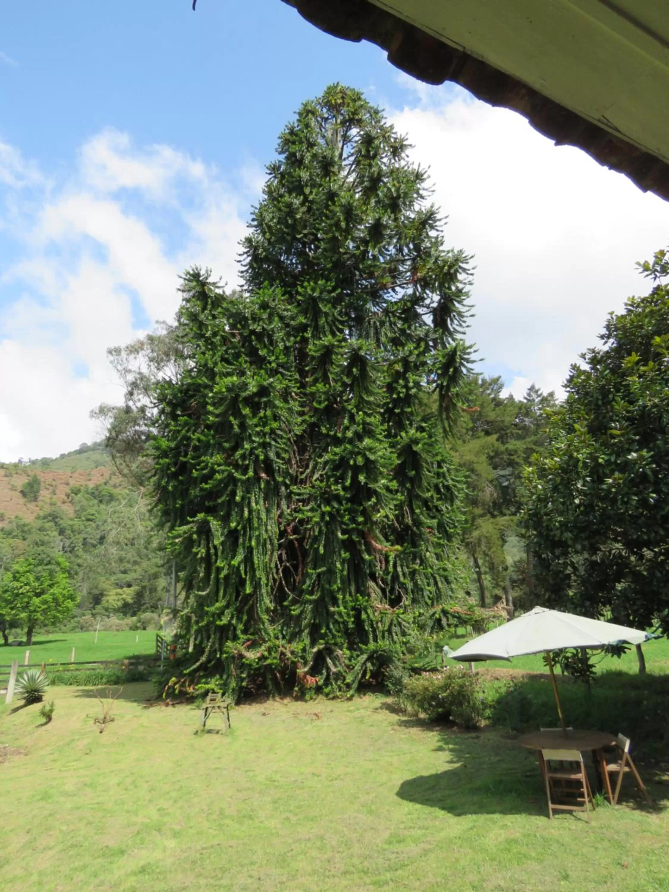 Property building, Garden in La Cabaña Ecohotel - Valle del Cocora
