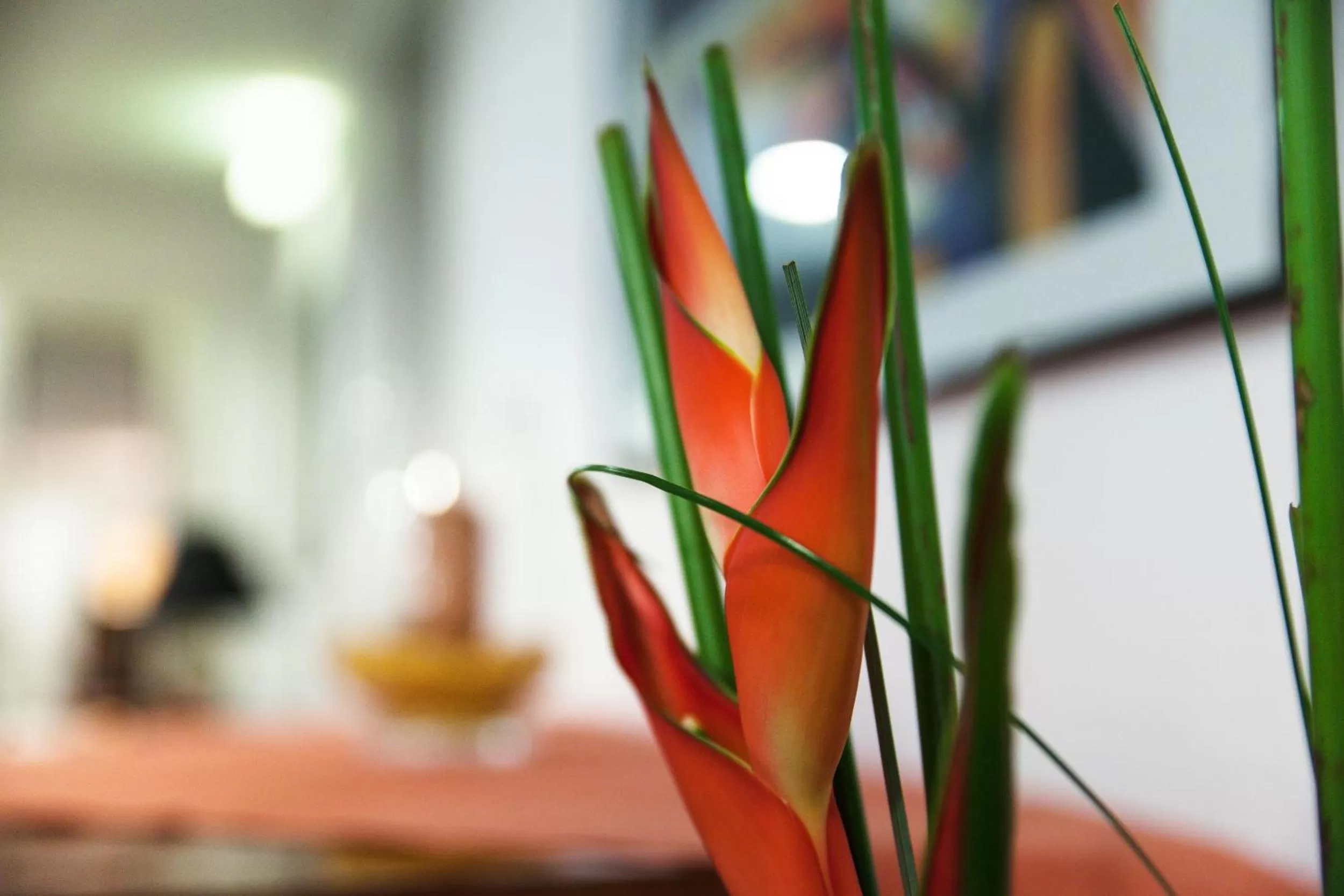 Other in Hotel am Tiergarten