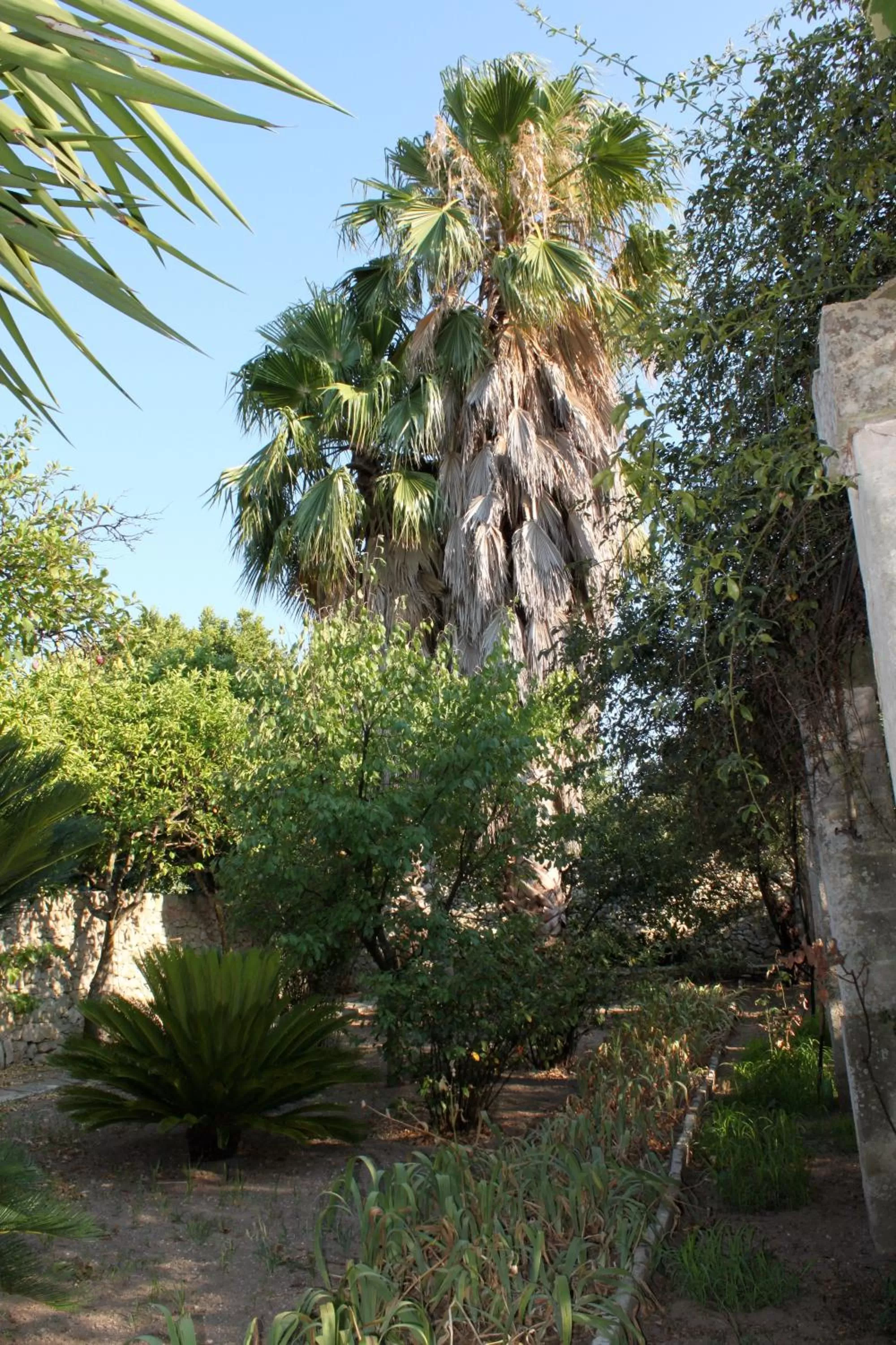 Dimora Storica ''Casa Sicuro''