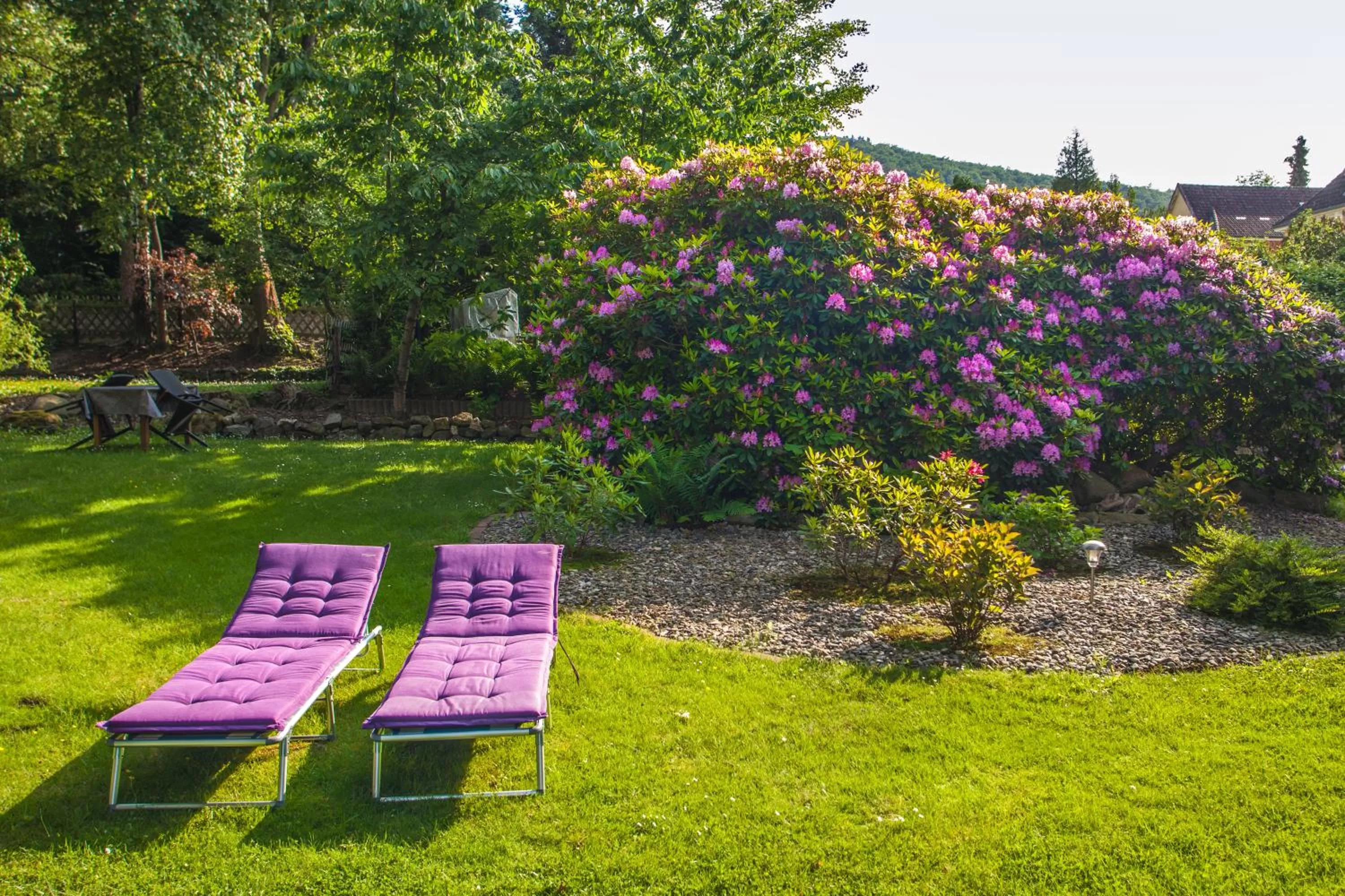 Garden in Hotel Rosenau