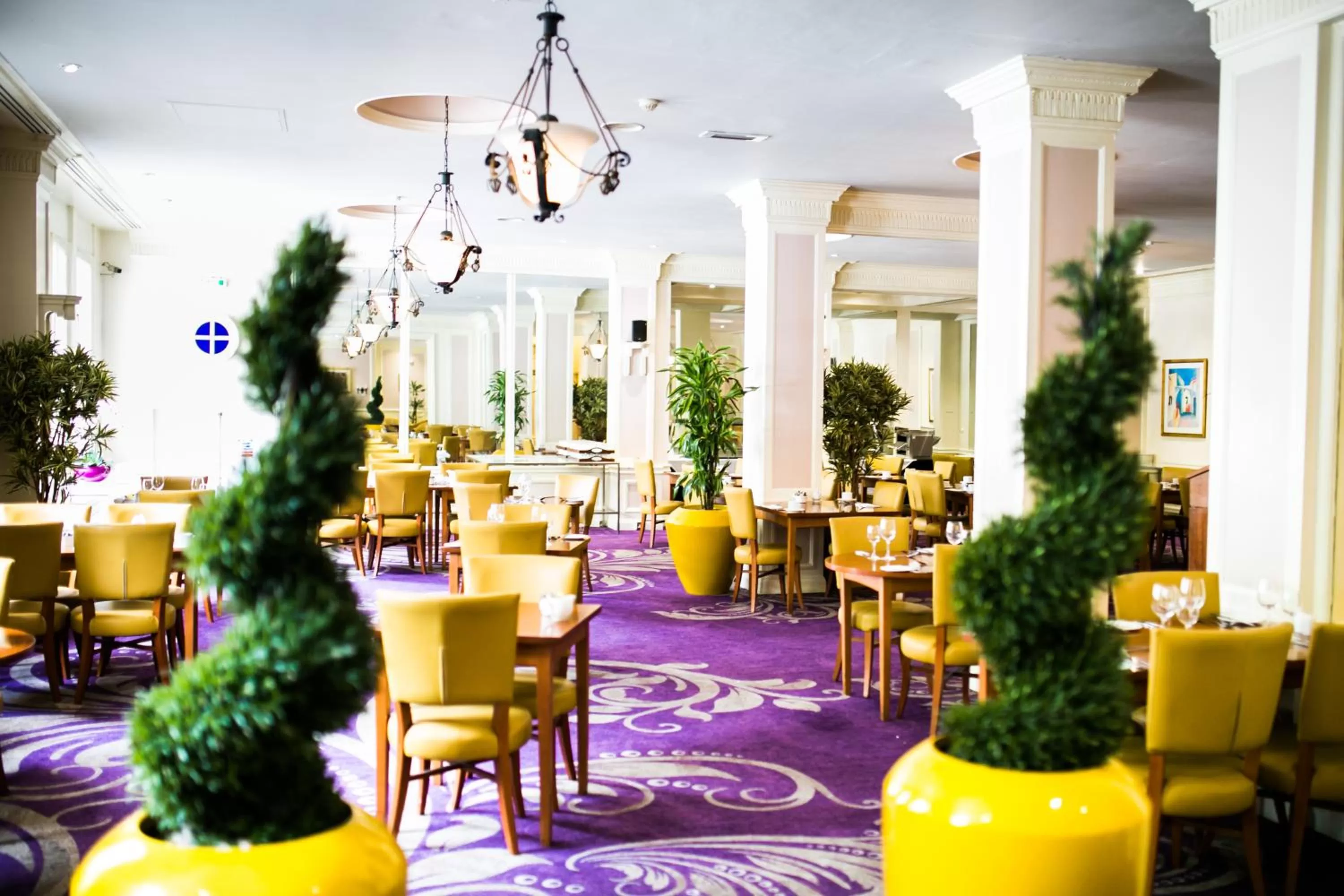 Restaurant/places to eat in The Angel Hotel