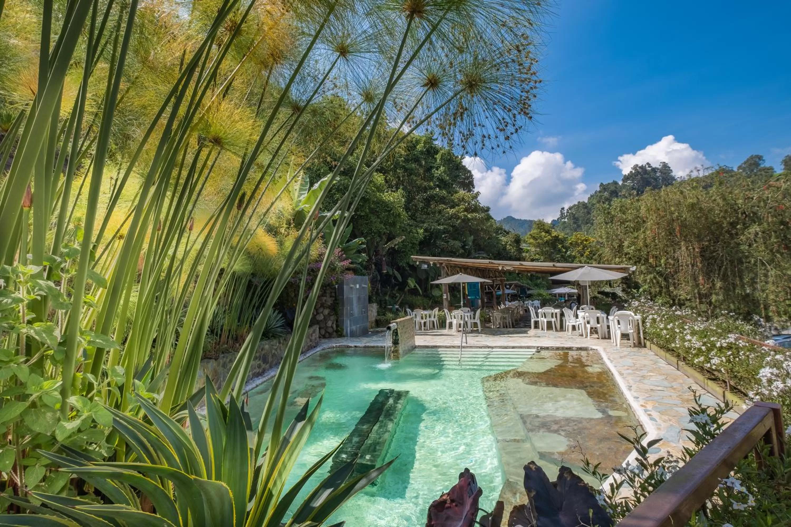 Swimming Pool in Hotel Termales Tierra Viva