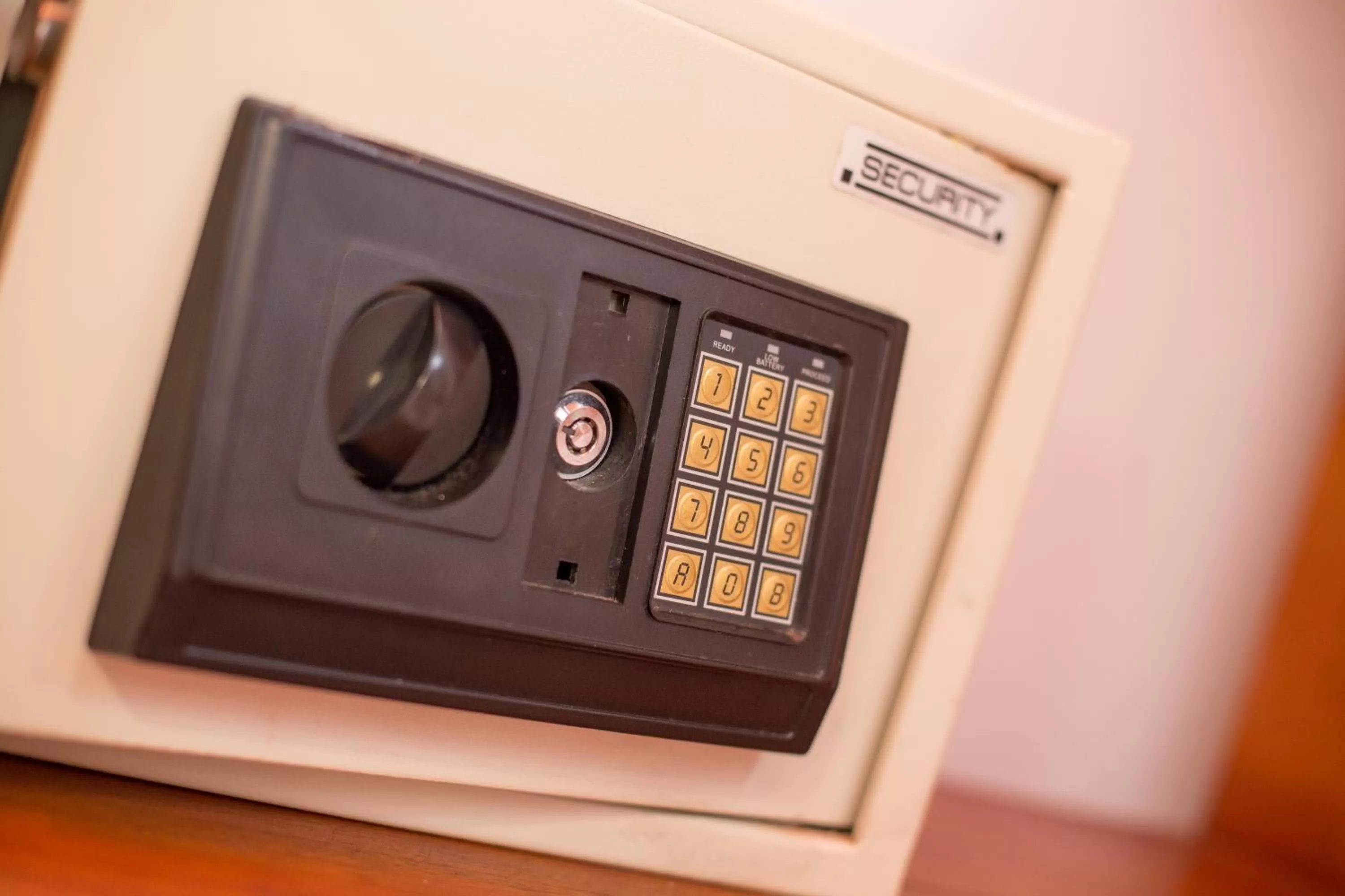 Area and facilities in Hotel 3 Banderas