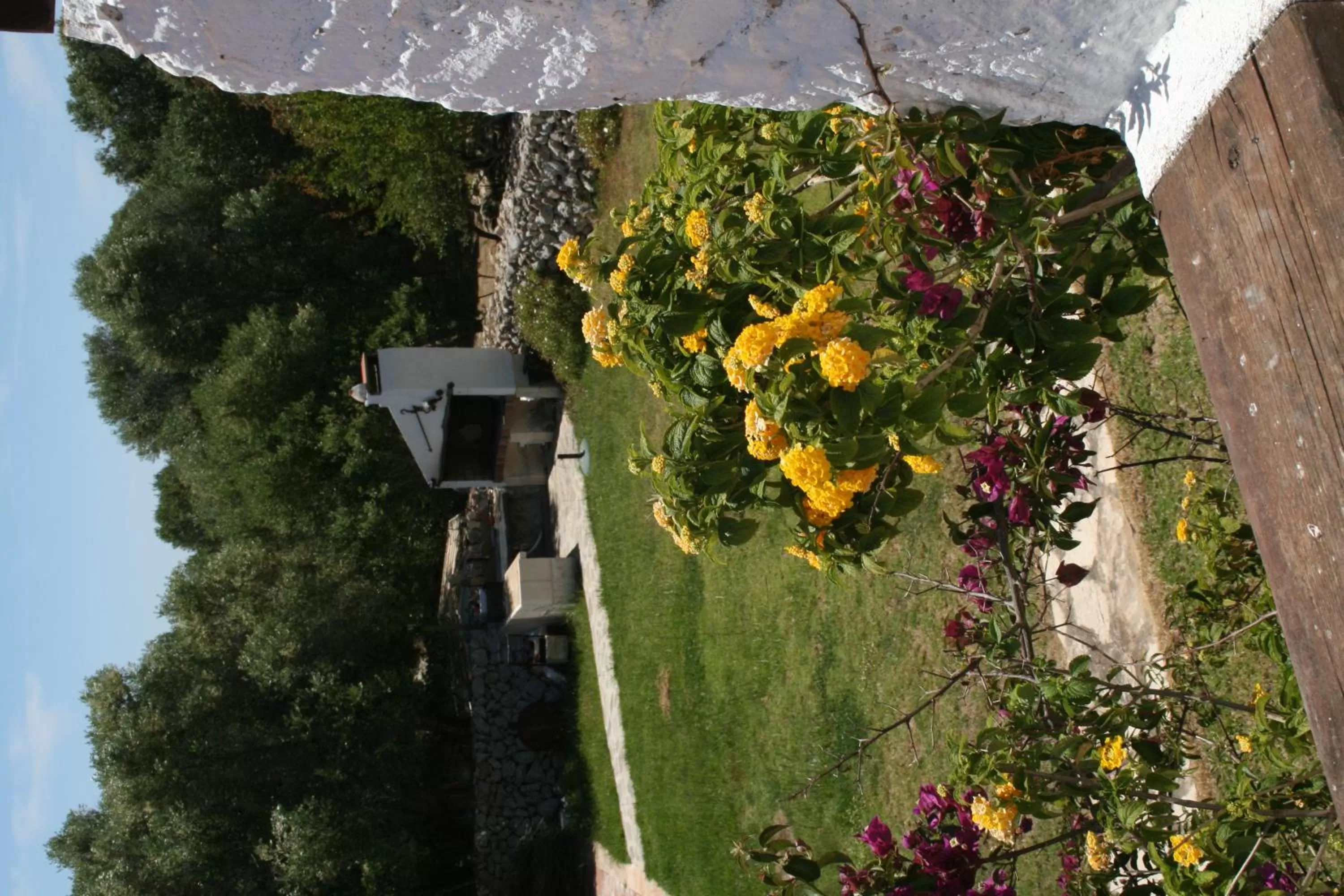 Garden in Agroturismo Binissafullet Vell