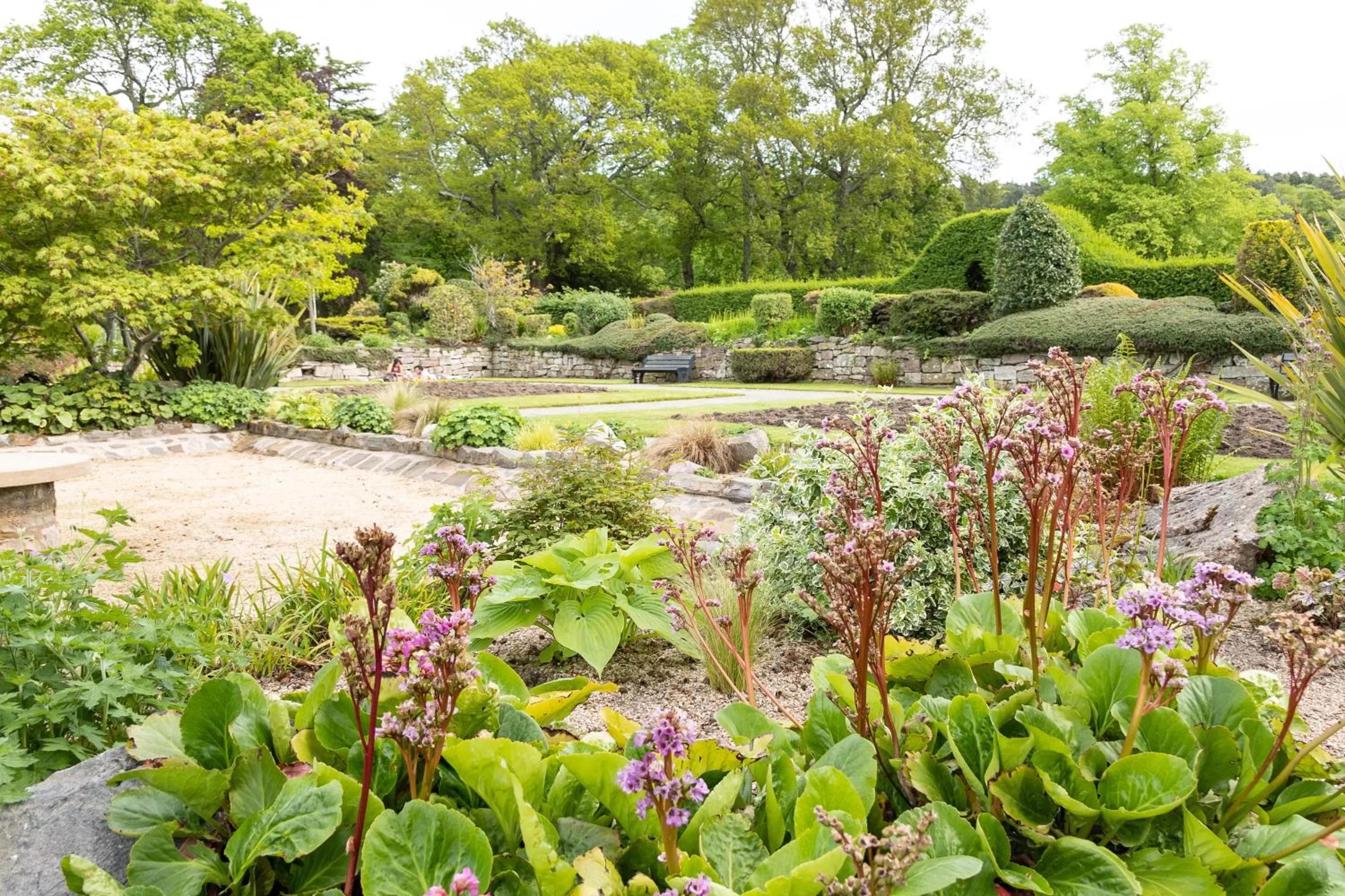 Nearby landmark in Carlton Hotel