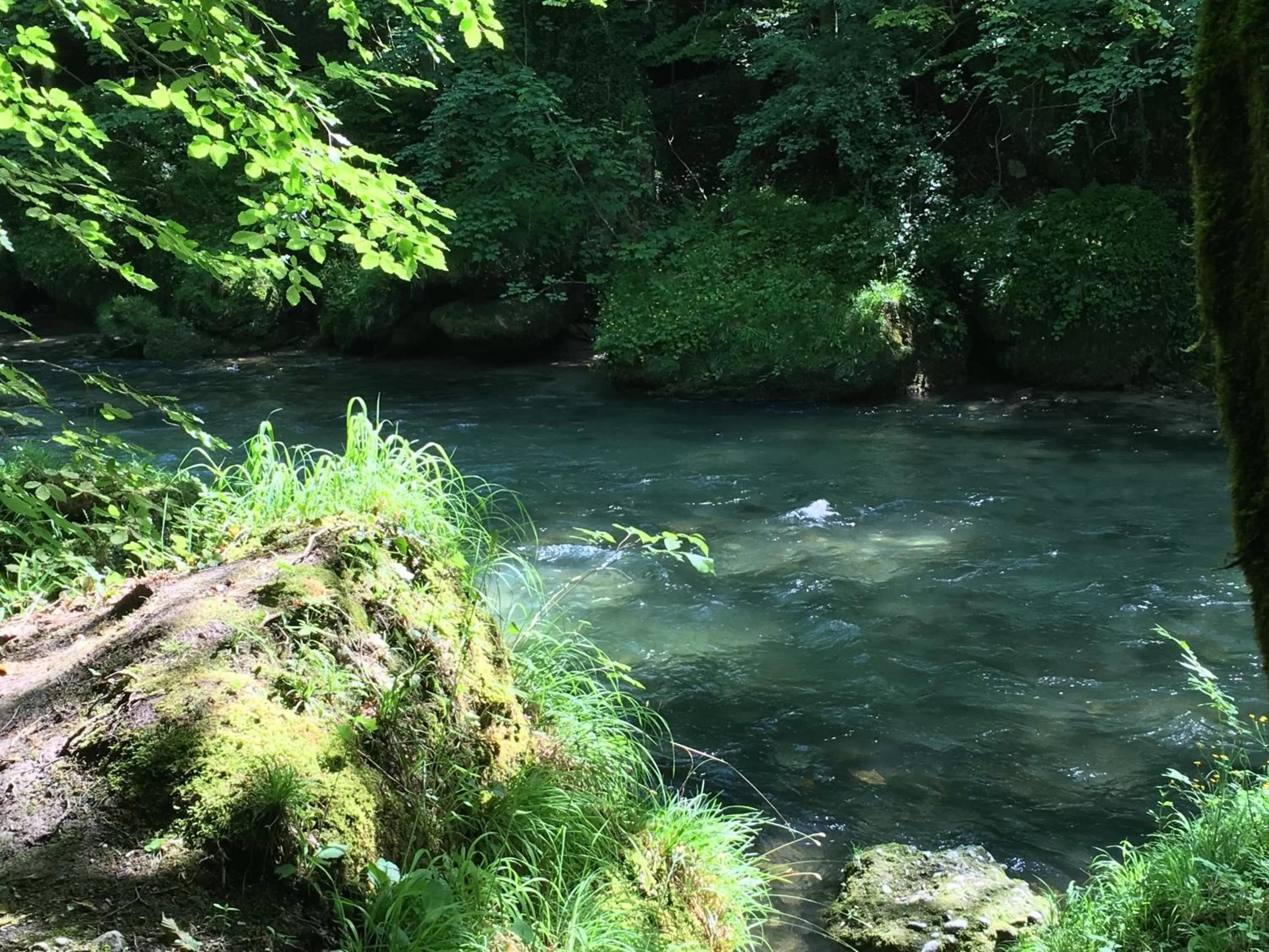 Fishing in Gasthof Teufl