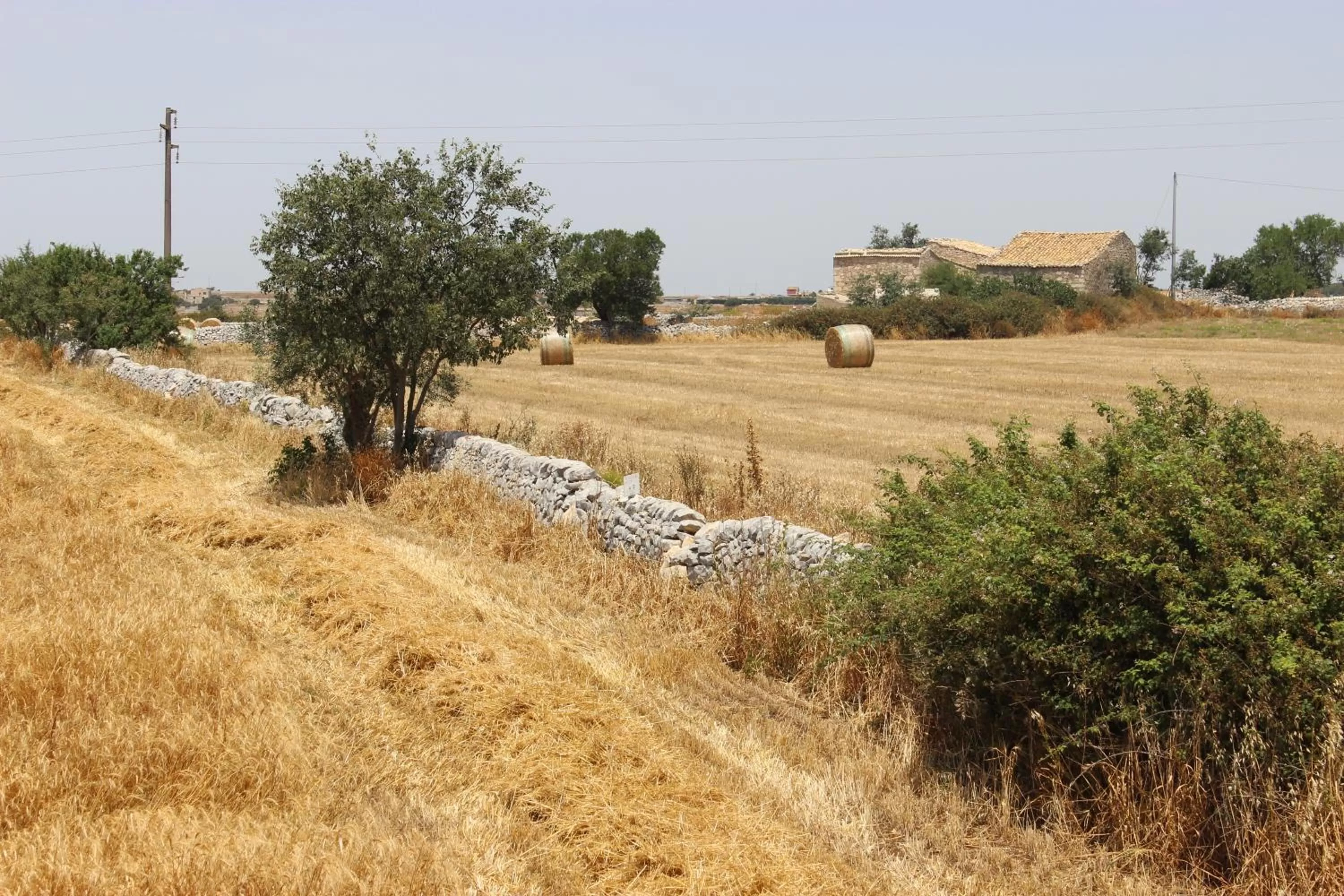 Natural landscape in Eremo Della Giubiliana