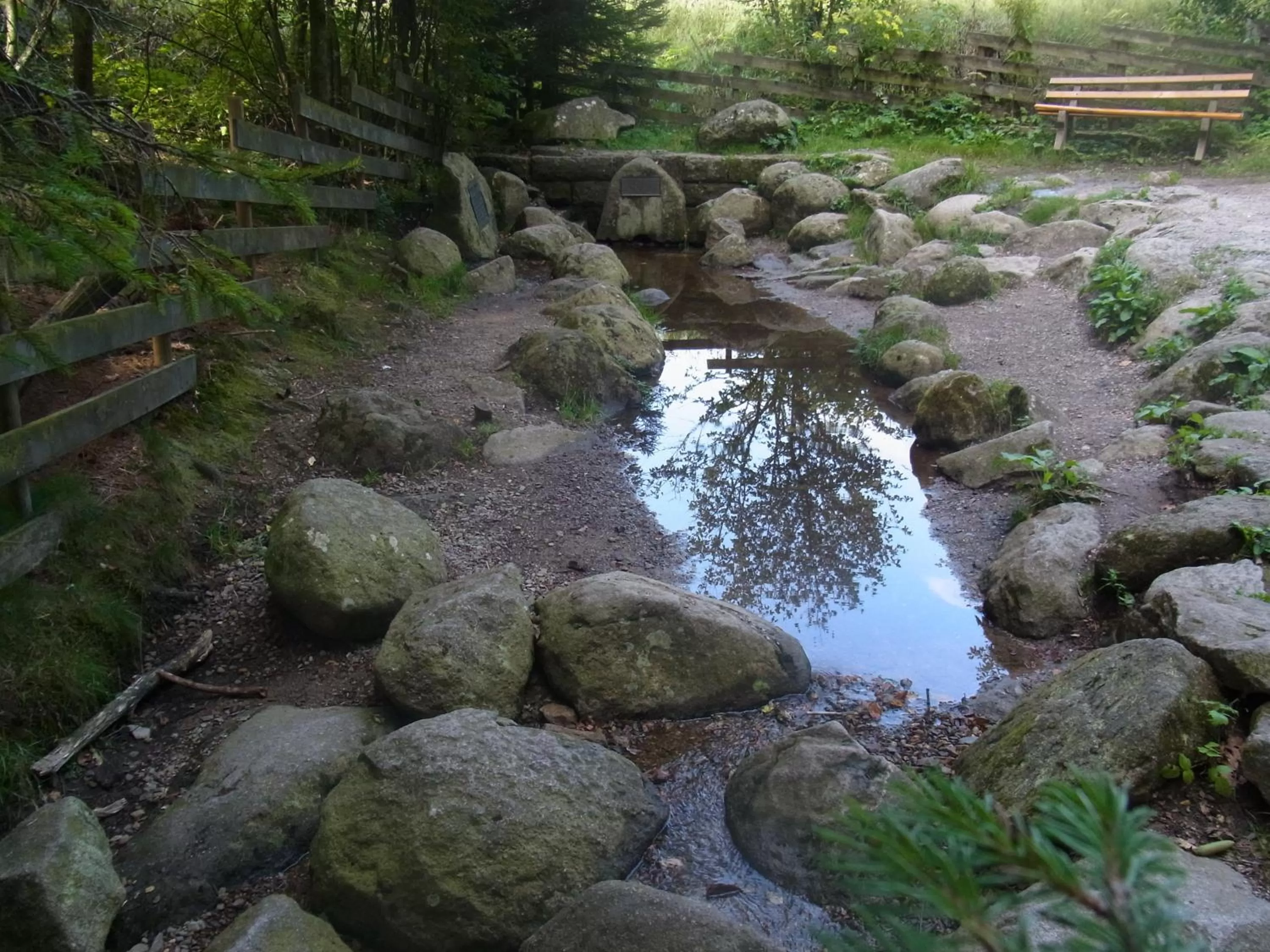 Nearby landmark in ZUR TRAUBE Schwarzwaldhotel & Restaurant am Titisee