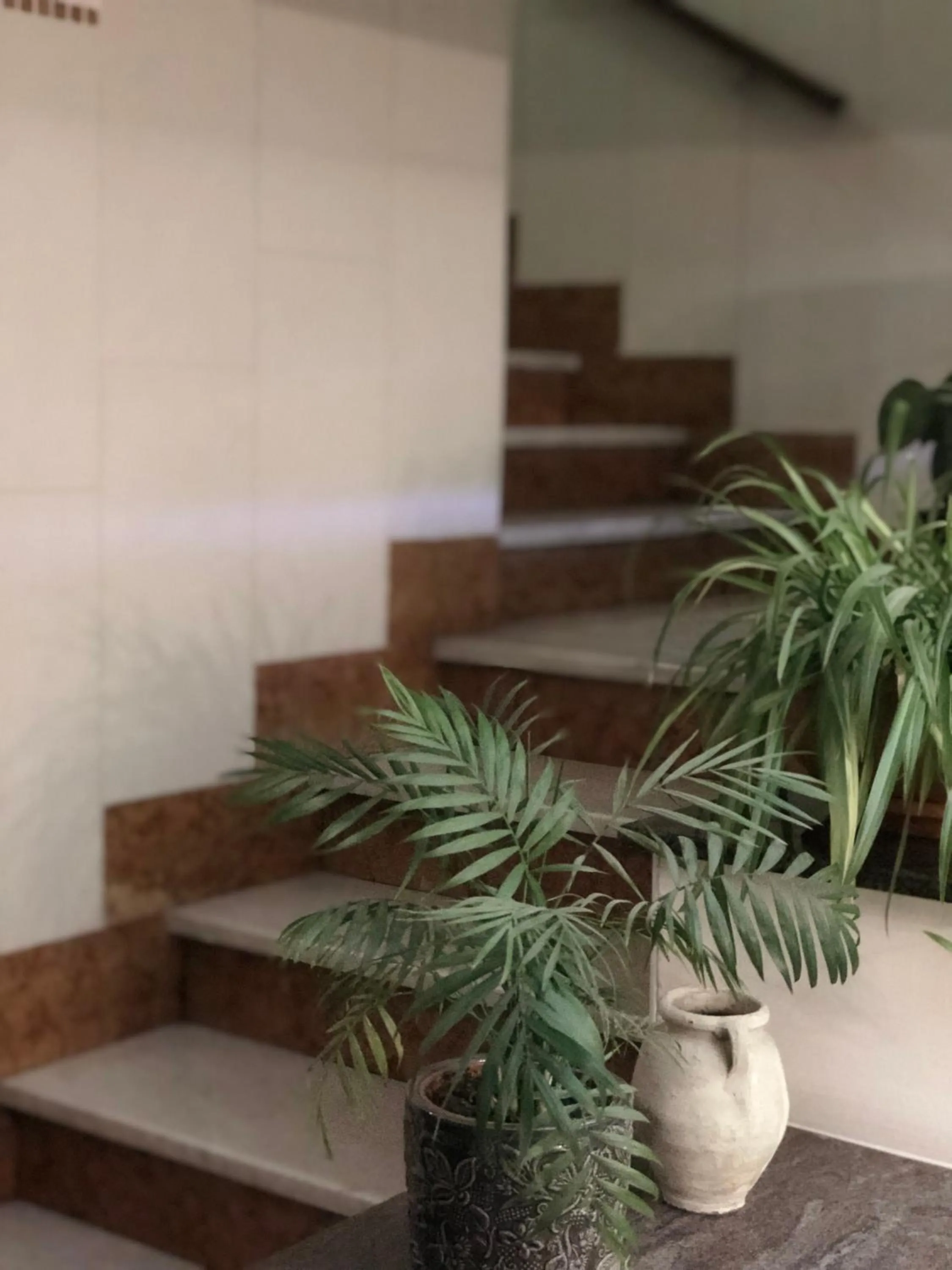 Lobby or reception in Hotel Serena