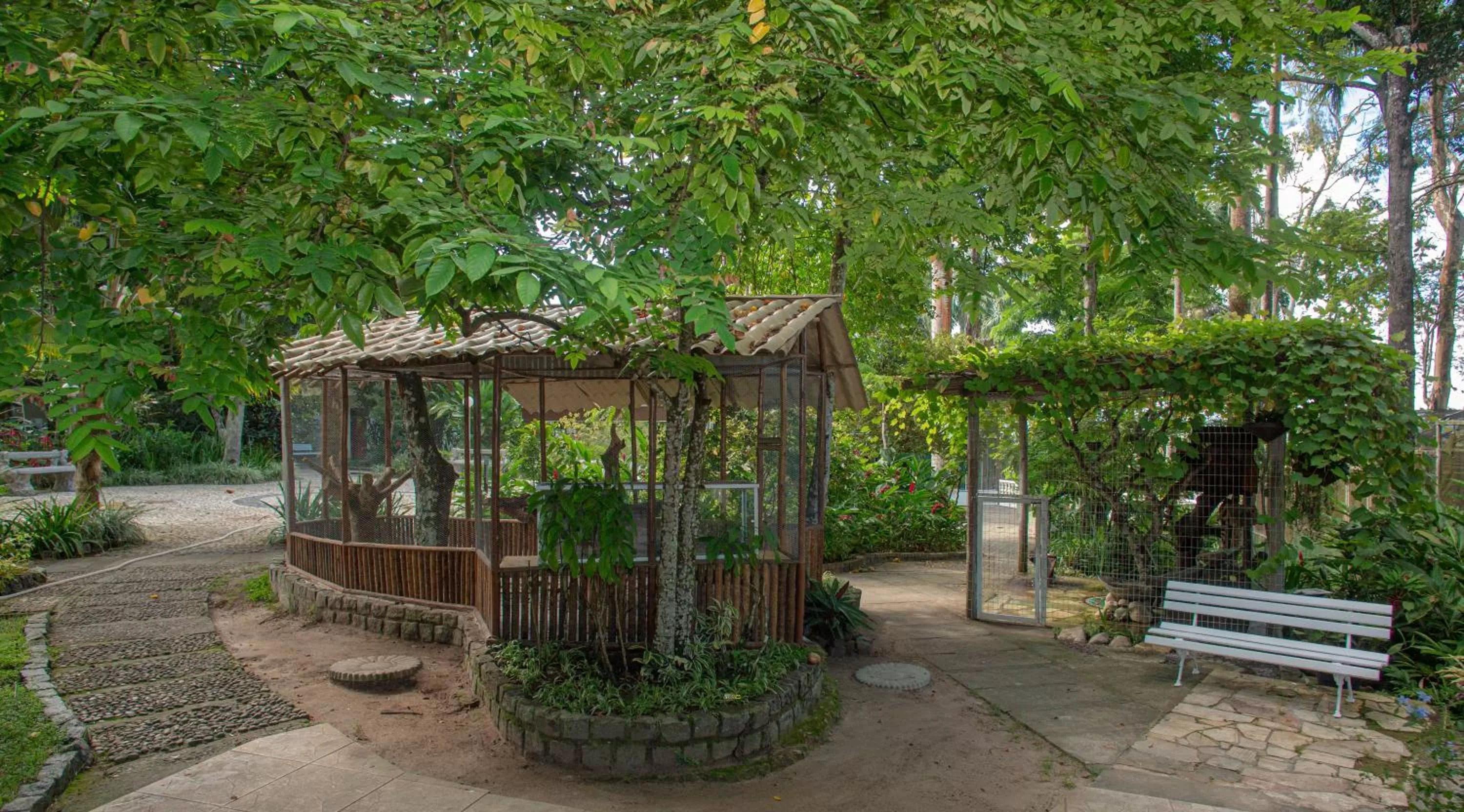 Garden in Hotel Solar do Imperador