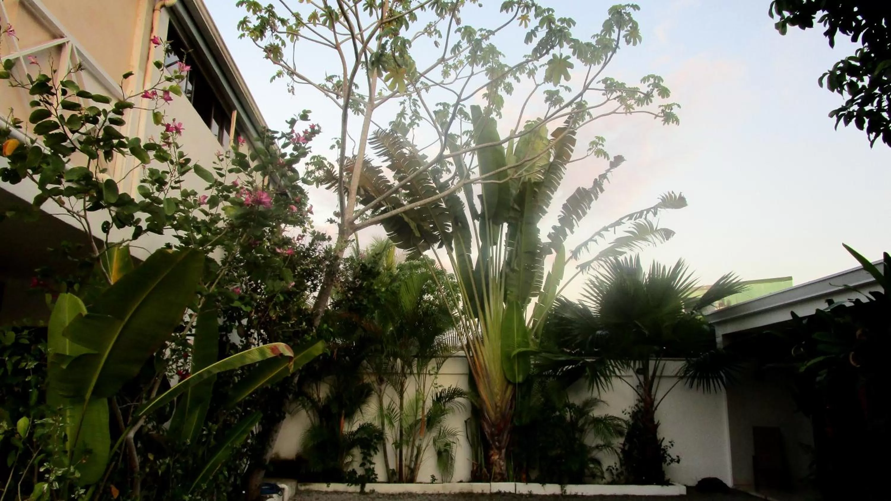 Garden, Property Building in Sueño Tranquilo