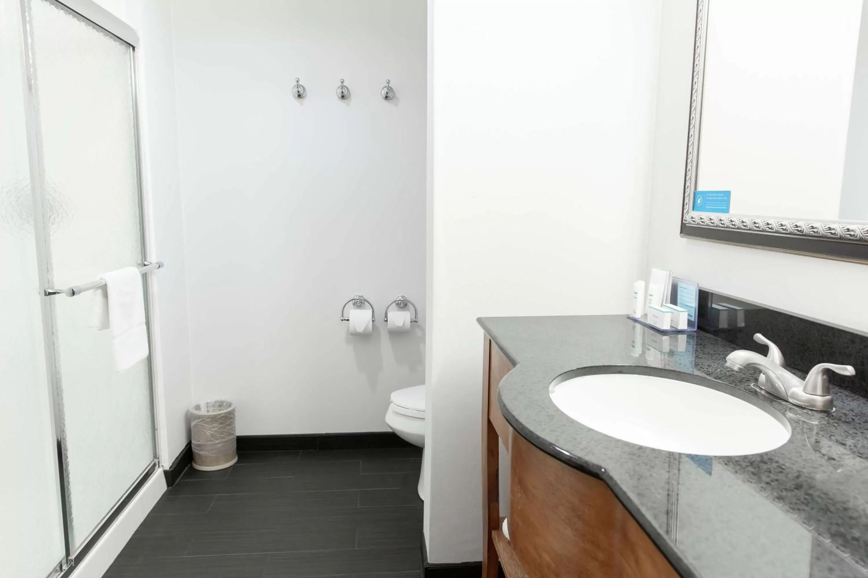 Bathroom in Hampton Inn & Suites Chesapeake-Square Mall