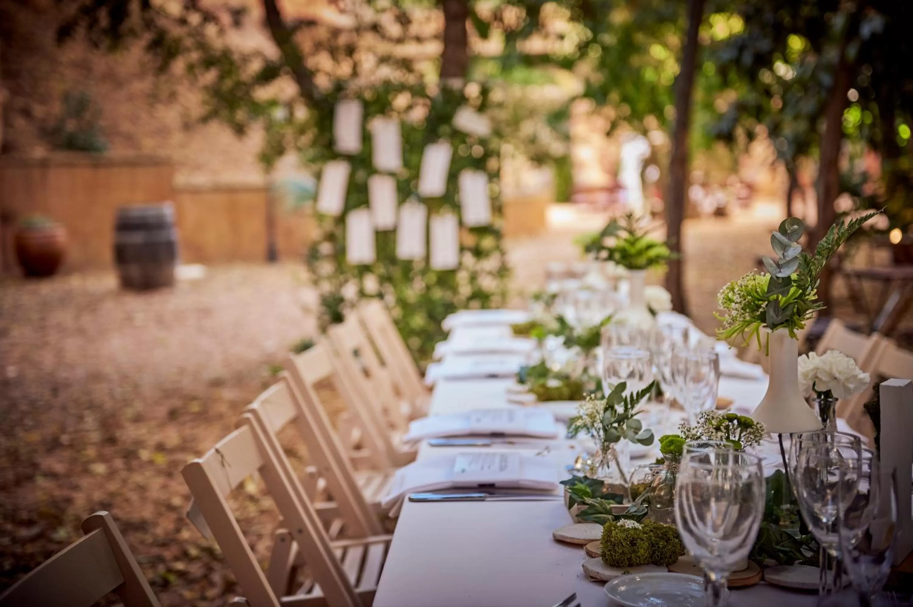 Garden in Hotel-Hostal Sport