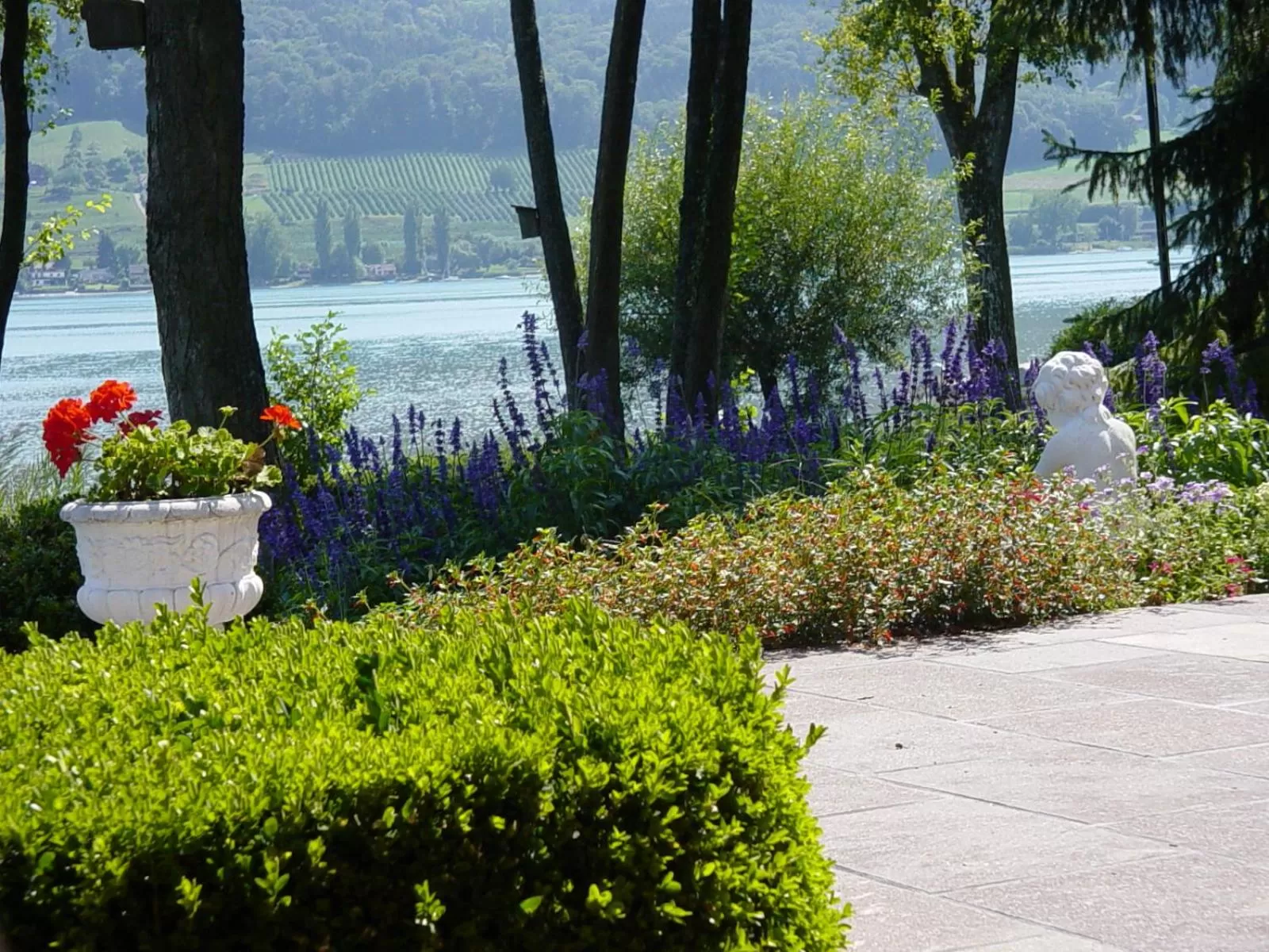 Lake view in Hotel Krone