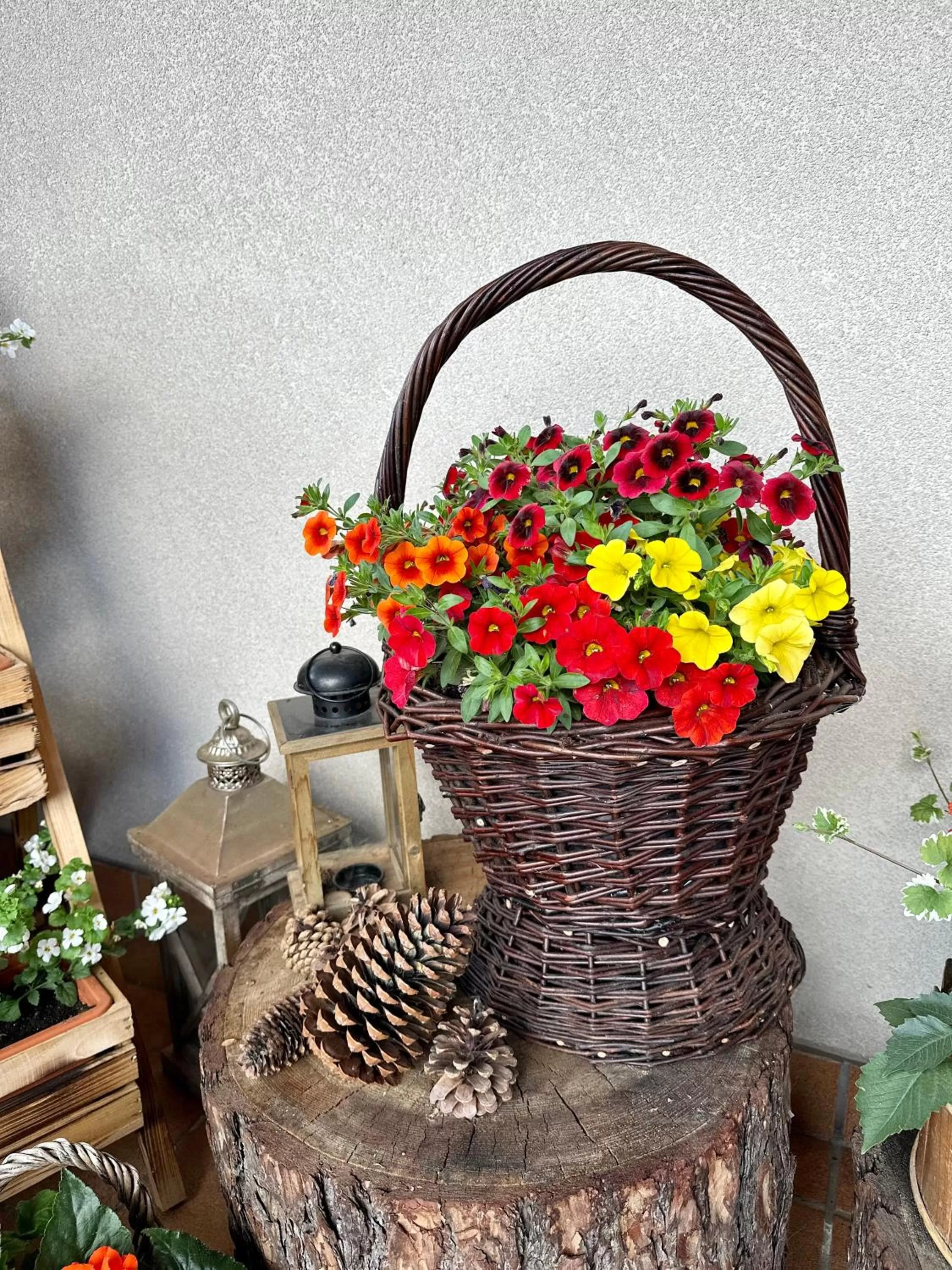 Leśny Dworek Zakopane