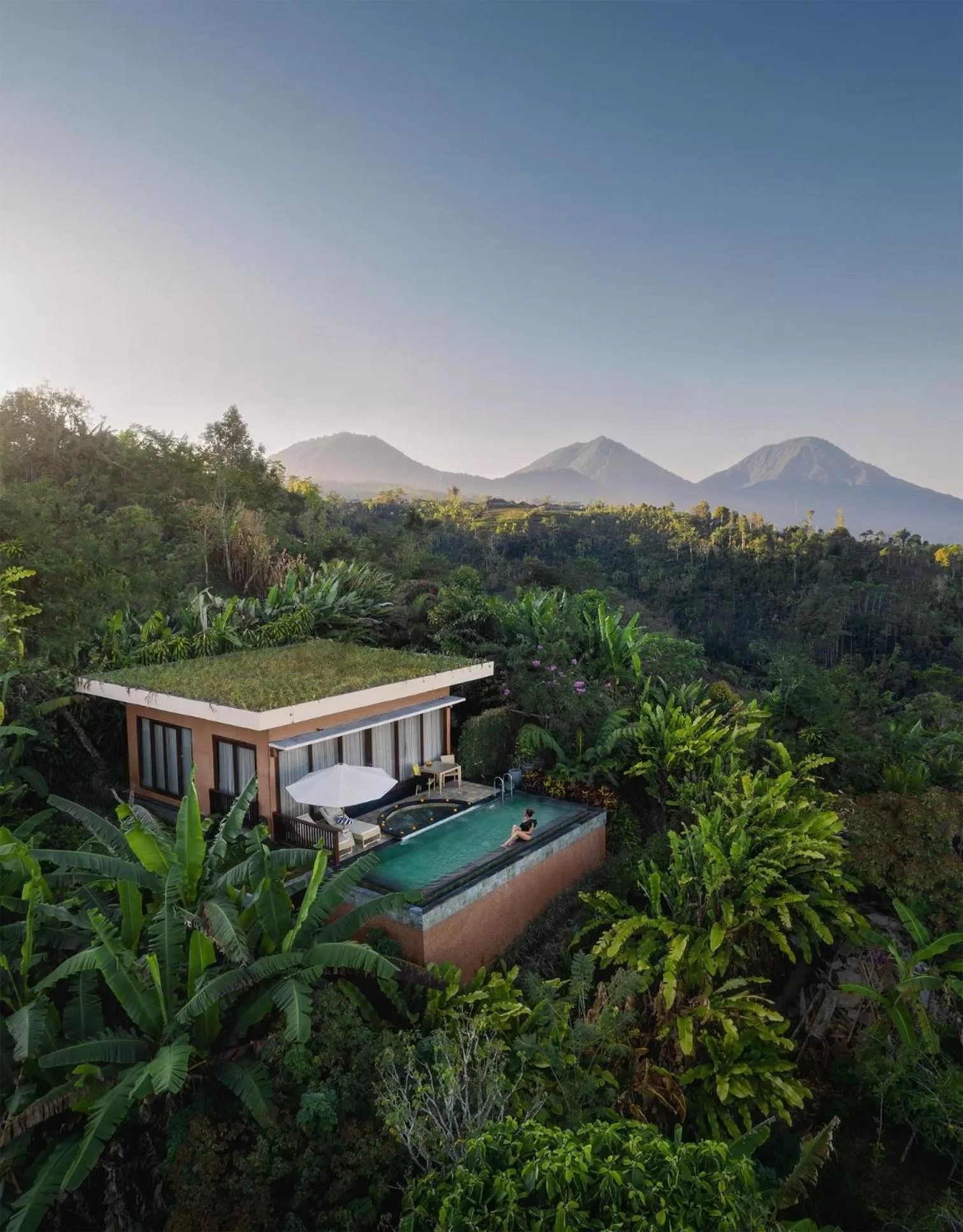 One Bedroom Villa with Horizontal Pool in Munduk Moding Plantation Nature Resort & Spa