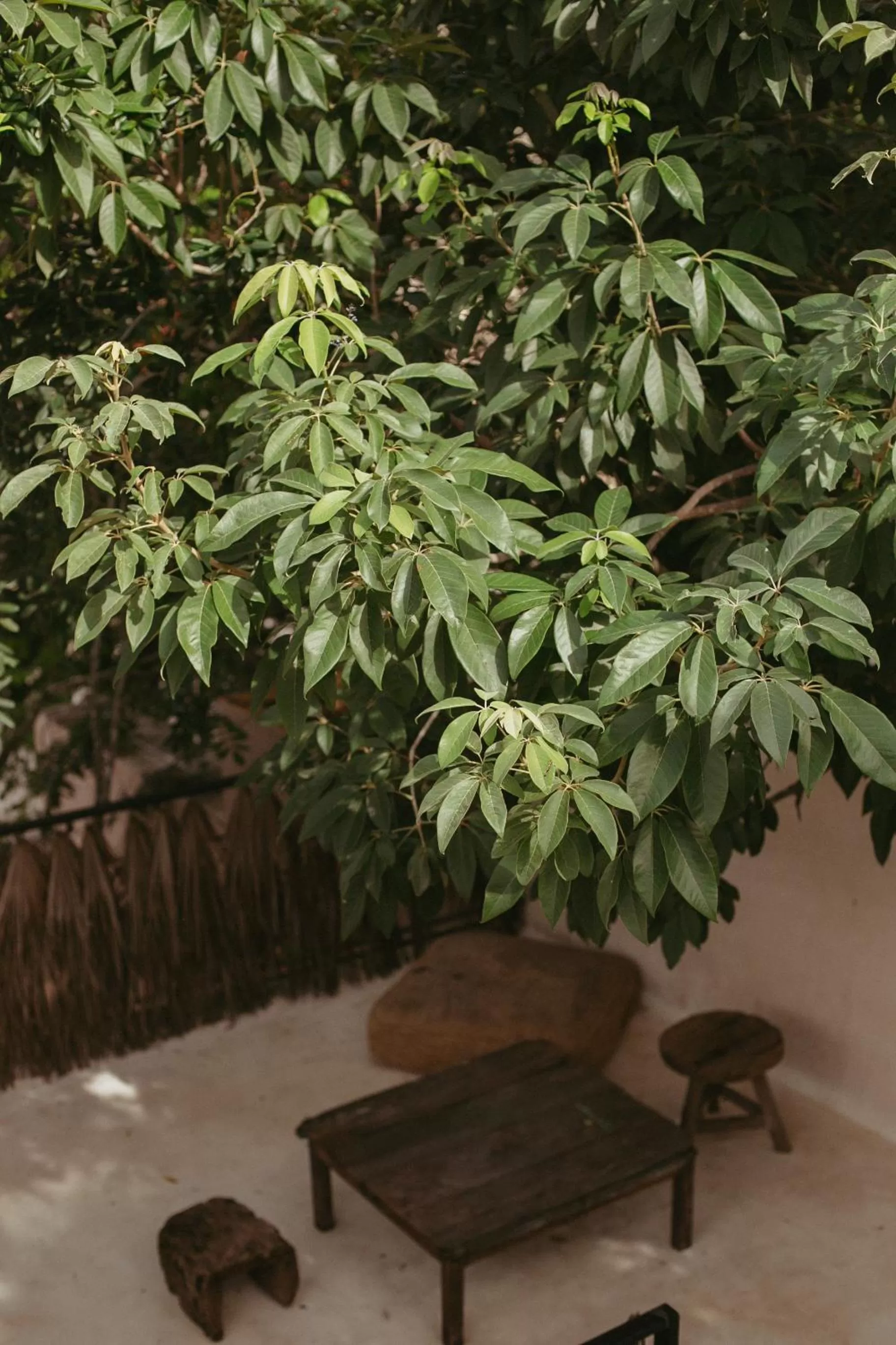 Patio in Era Hotel & Spa Tulum
