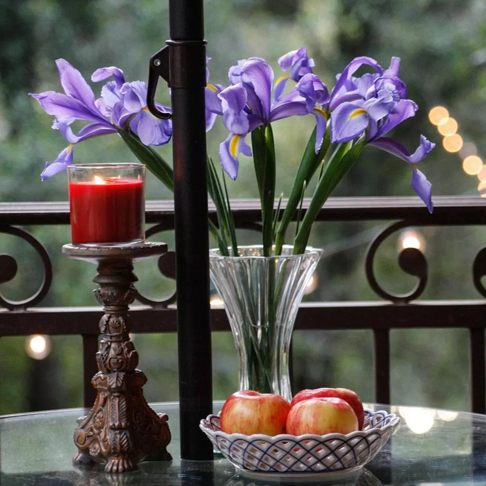 Balcony/Terrace in Bella Vista Bed and Breakfast