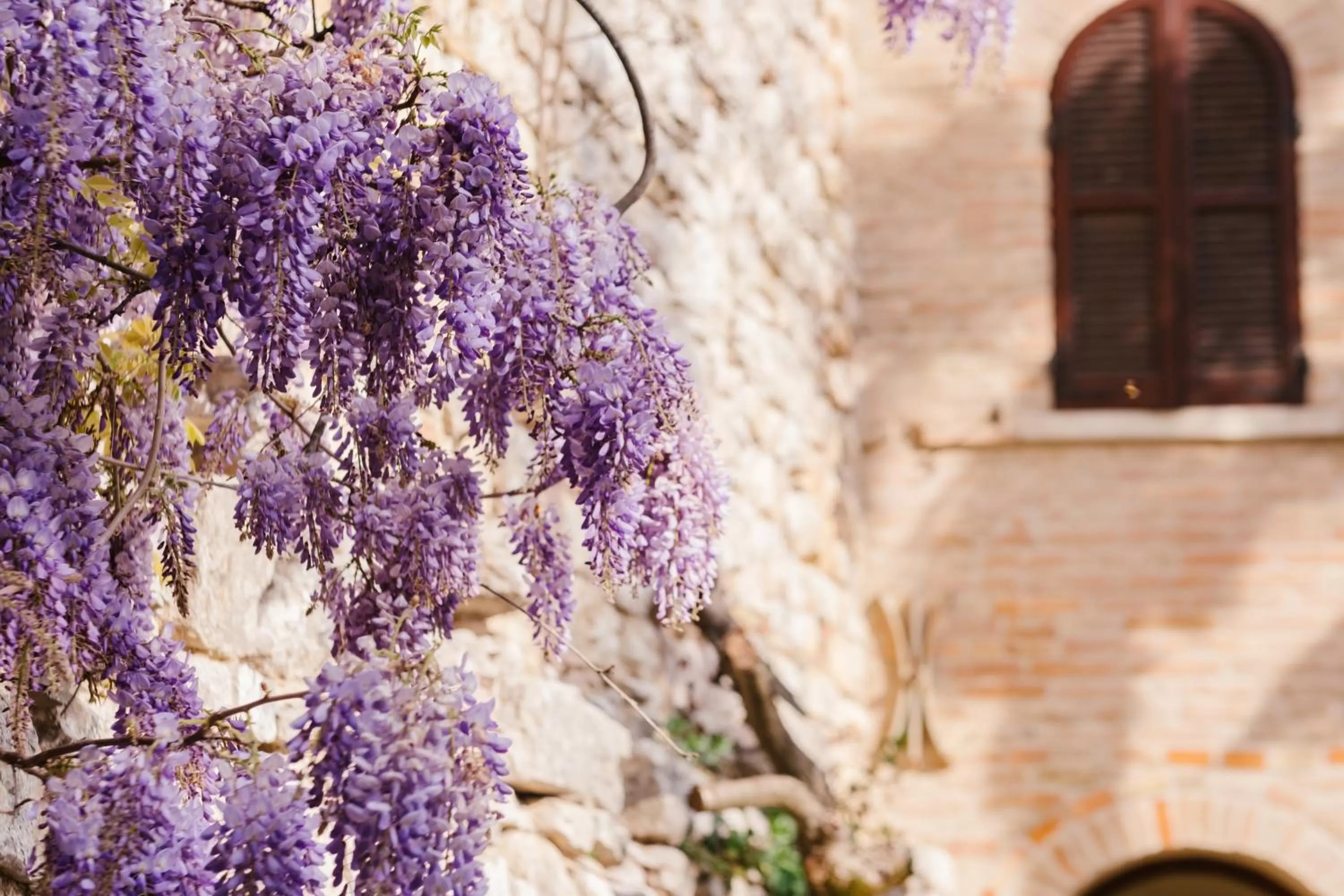Garden in Relais Ducale
