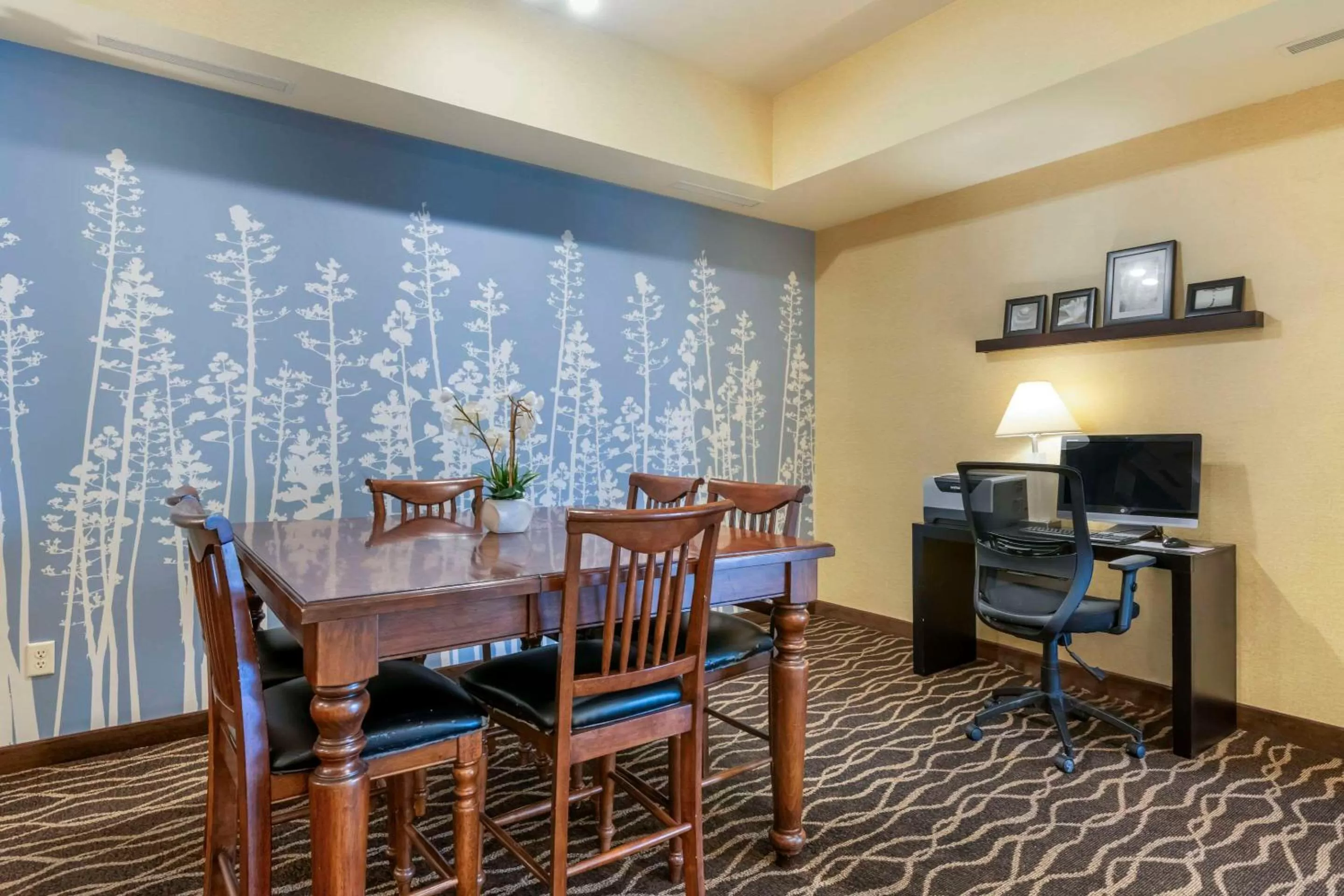 Business facilities in Sleep Inn & Suites