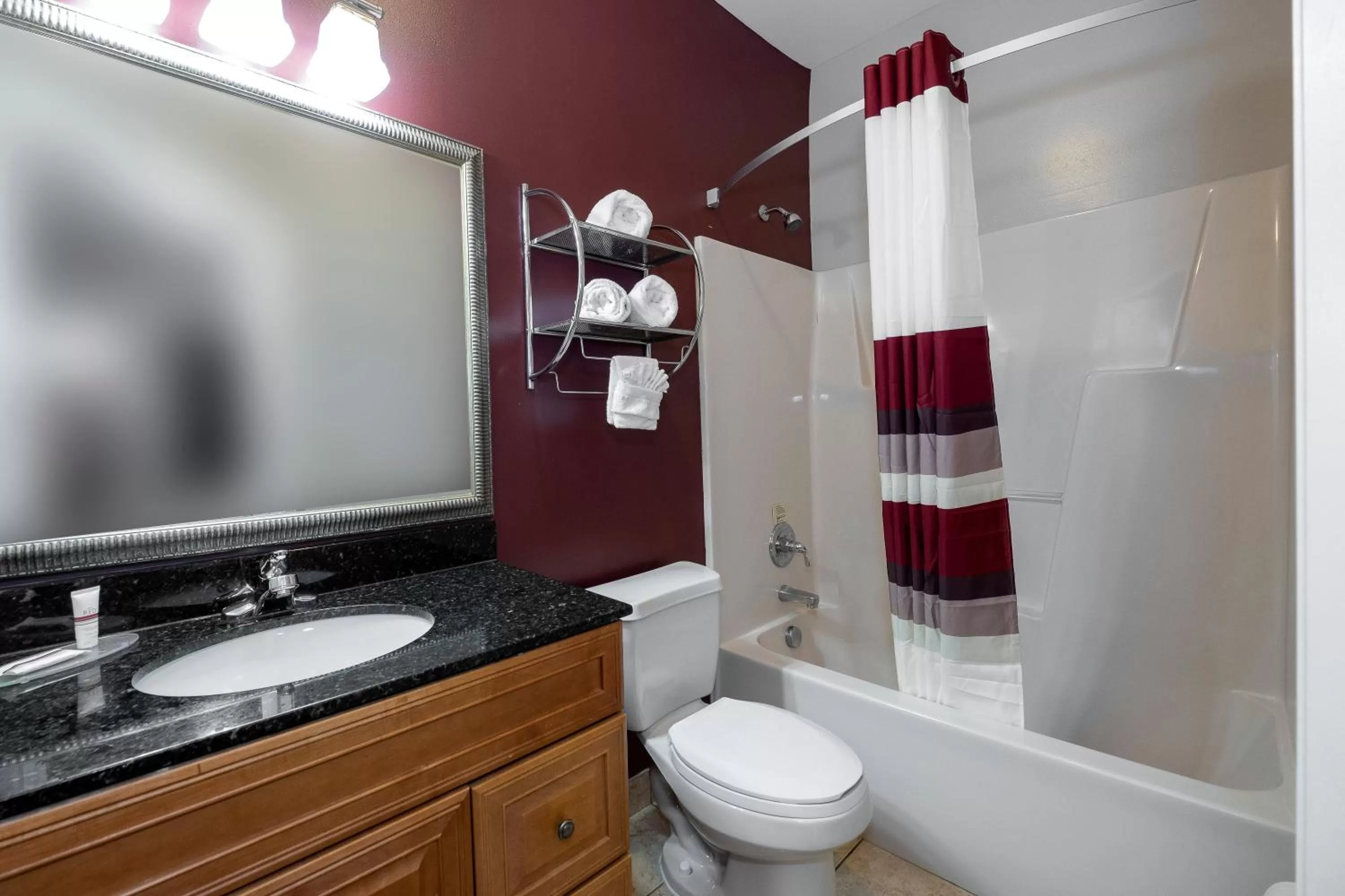 Bathroom in Red Roof Inn & Suites Wilson