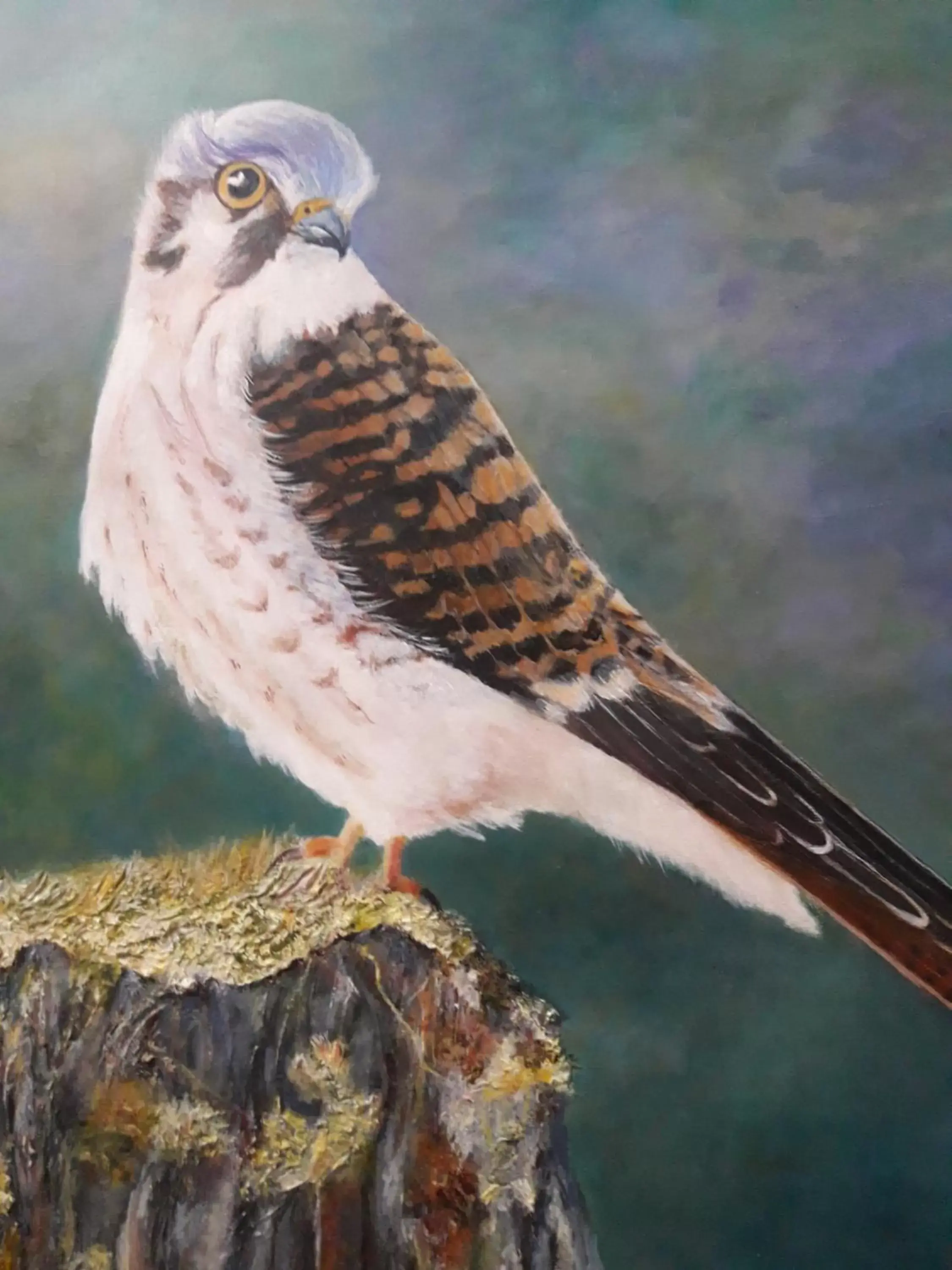 Sandy Point B&B Sandy Point B&B