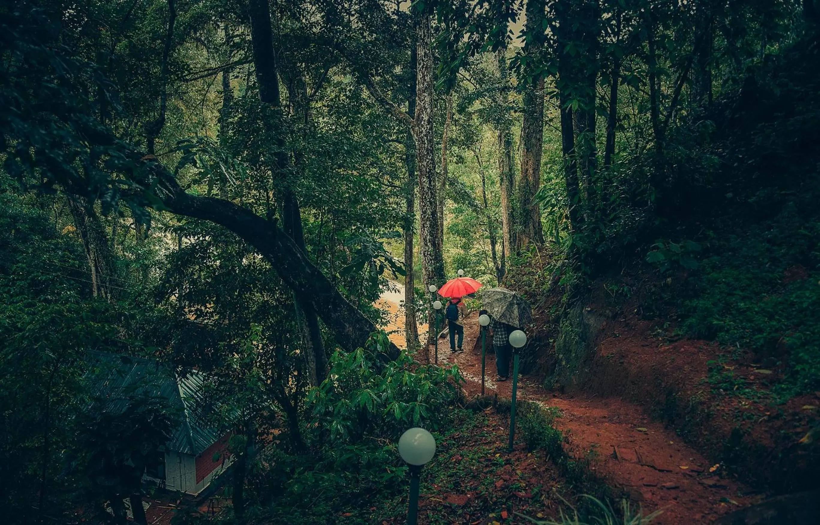 Spring in Ela Ecoland Nature Retreat