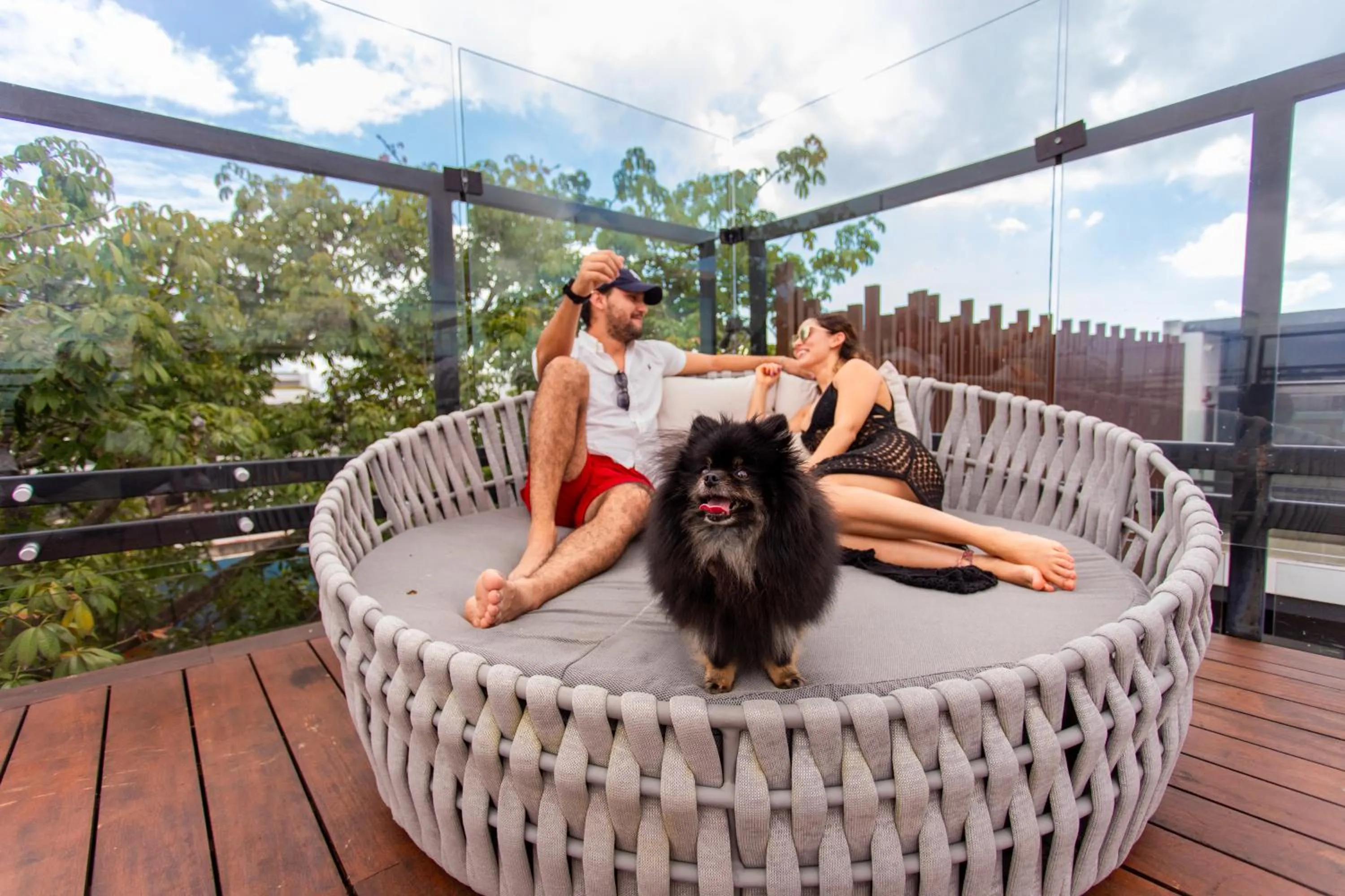 Pets in Serenity Hotel Boutique By Alsol
